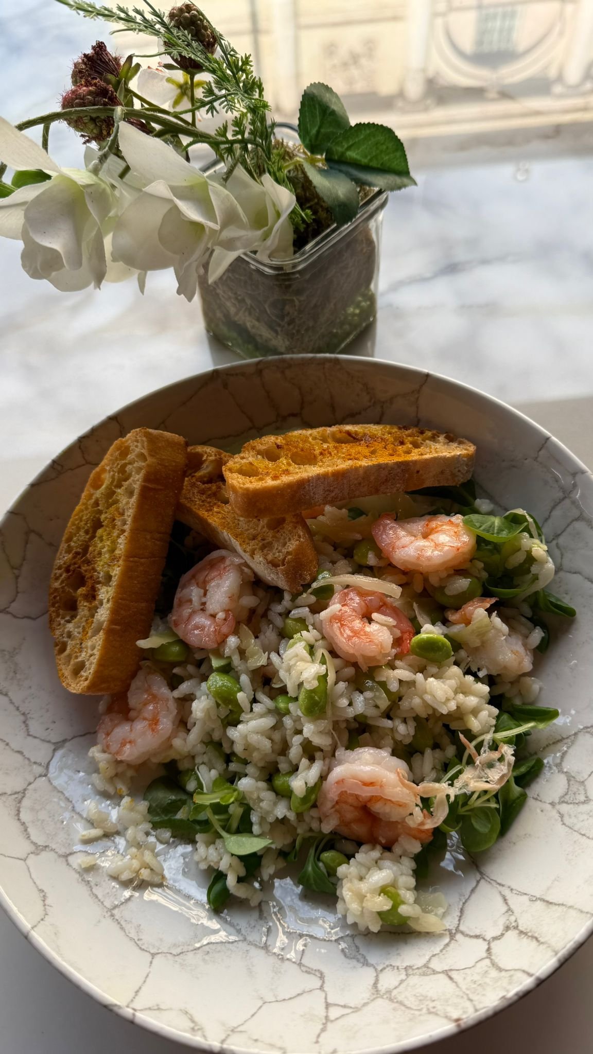 Insalata di riso con gamberetti, pomodorini, e germogli, accompagnata da pane tostato. In the background, un vaso con fiori e piante verdi.