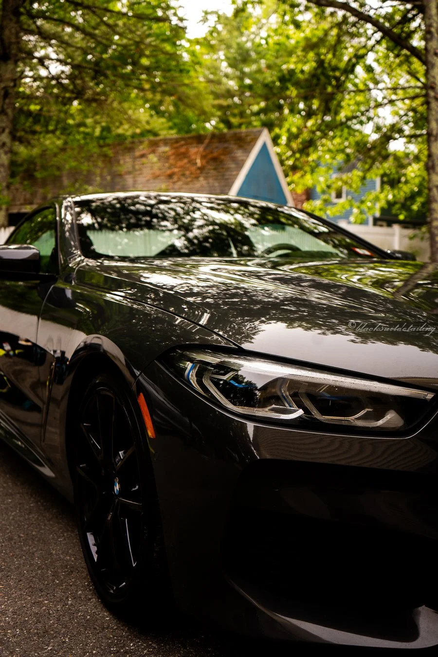 Close-up of a shiny black BMW car parked outdoors, with trees and a house in the background.