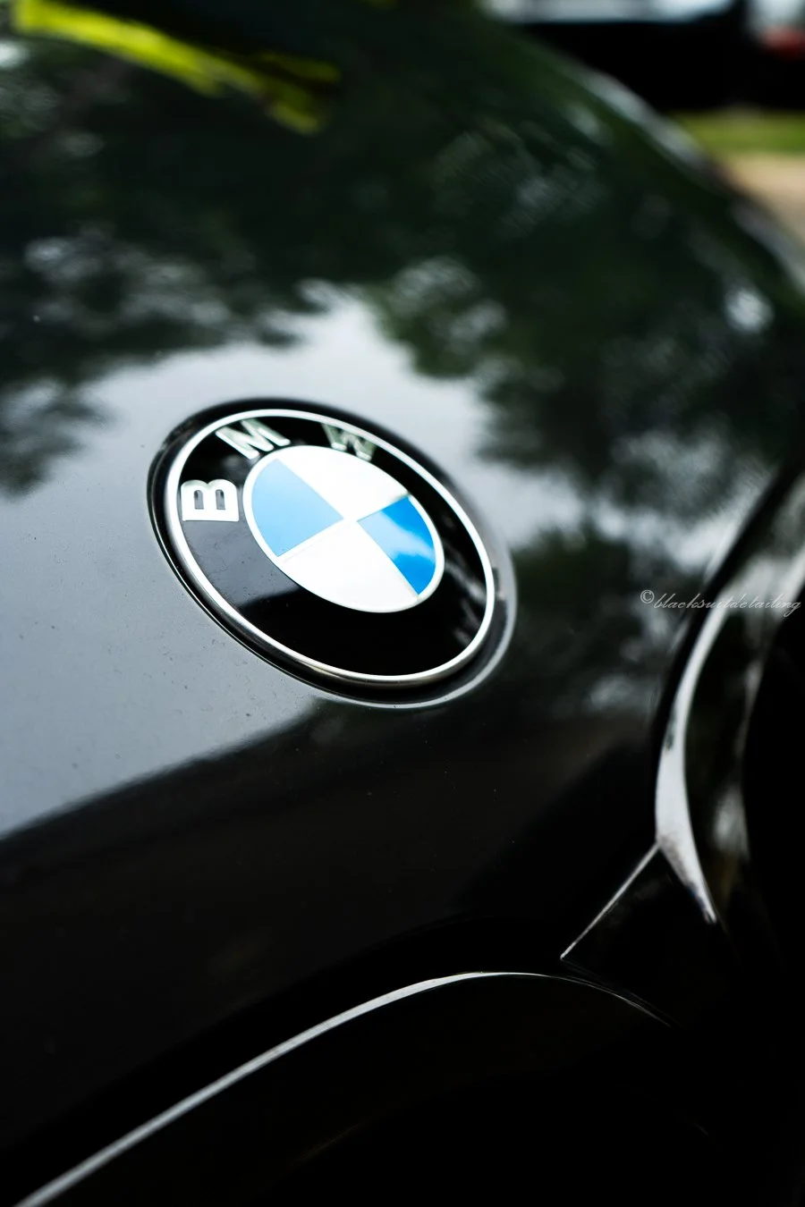 Close-up of a black BMW car hood with the BMW emblem, which has blue, white, and black colors, reflecting the sky and trees.