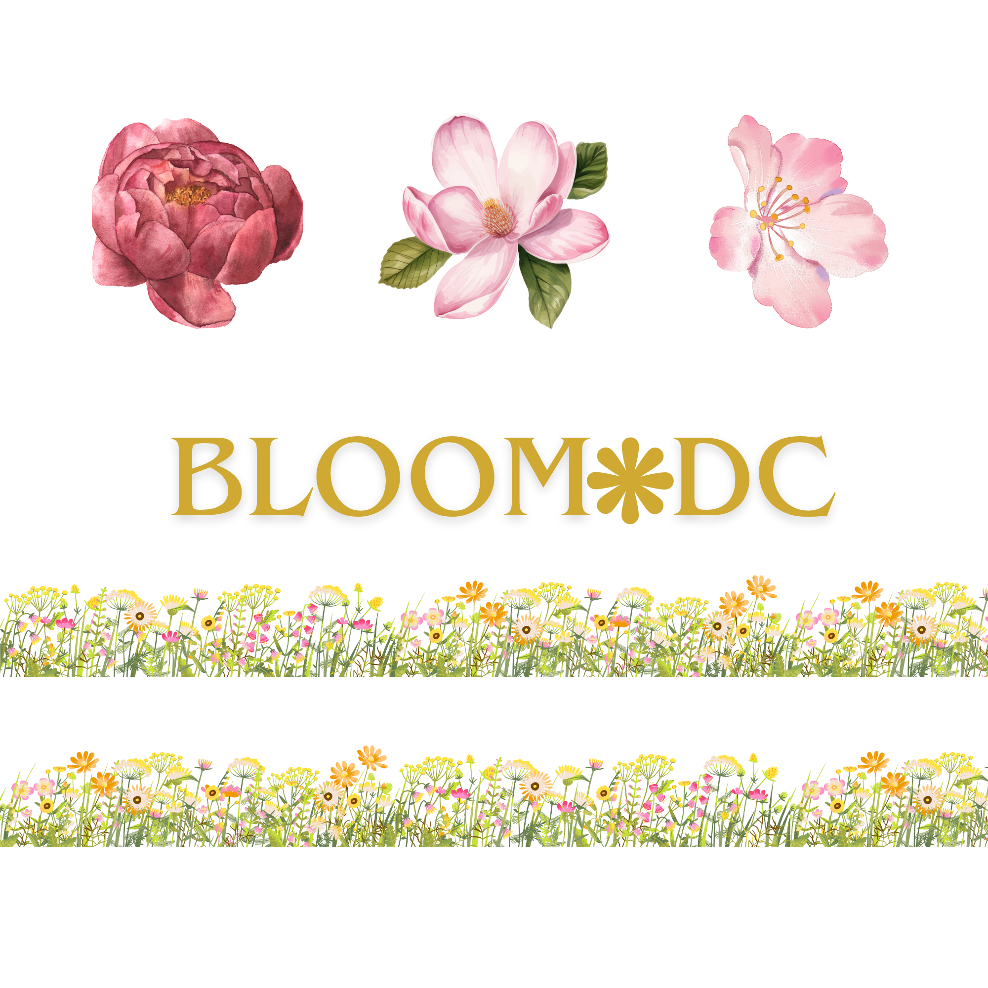 Illustration of three different pink flowers above the word BLOOM, with a background of various small flowers.