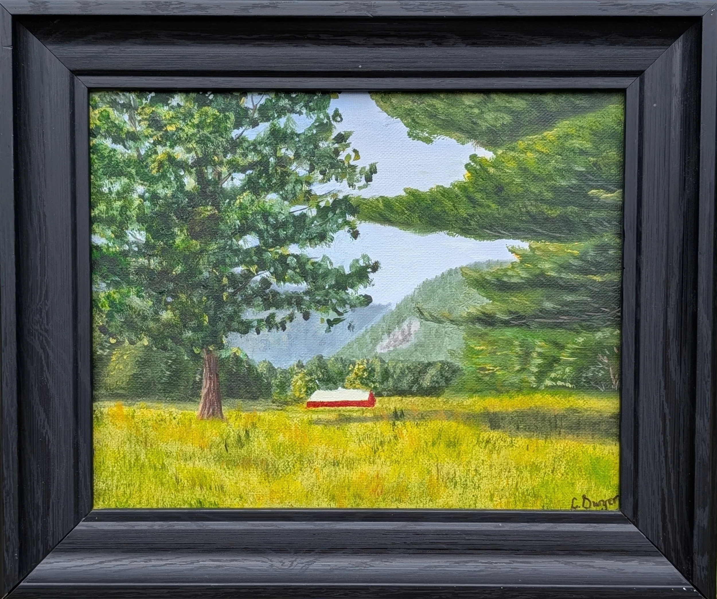 Lisa's Field