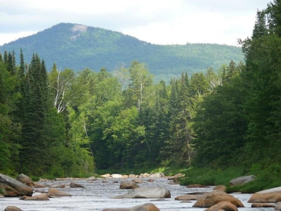 Lincoln Woods.jpg