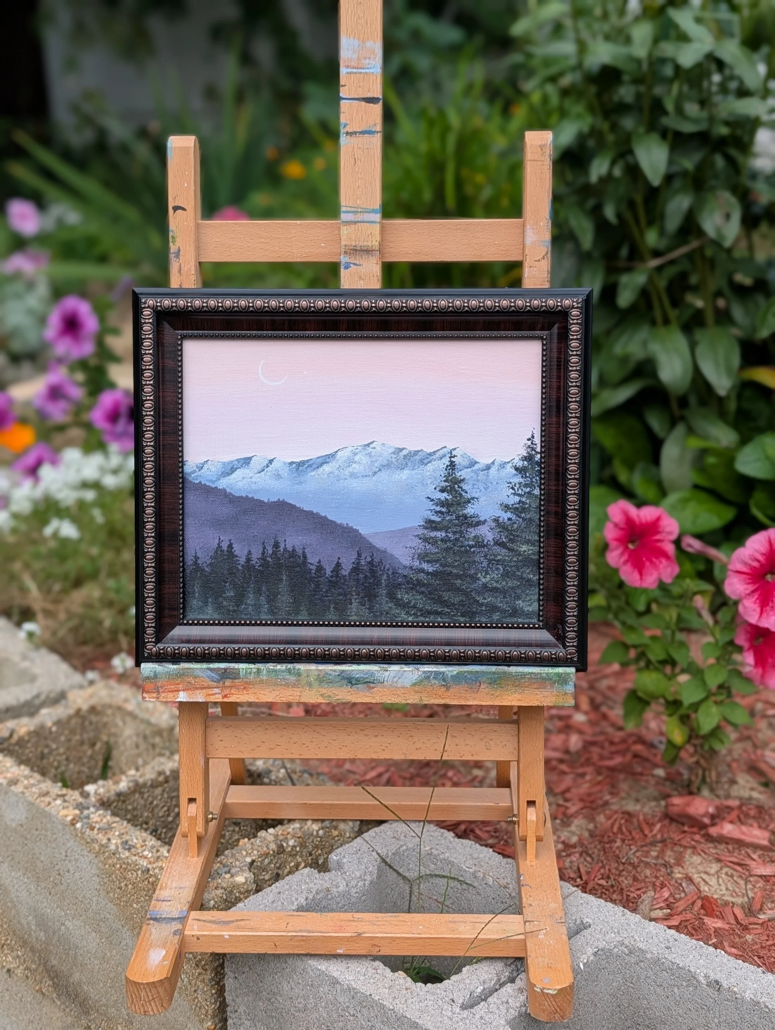 Alpenglow on Roman Nose