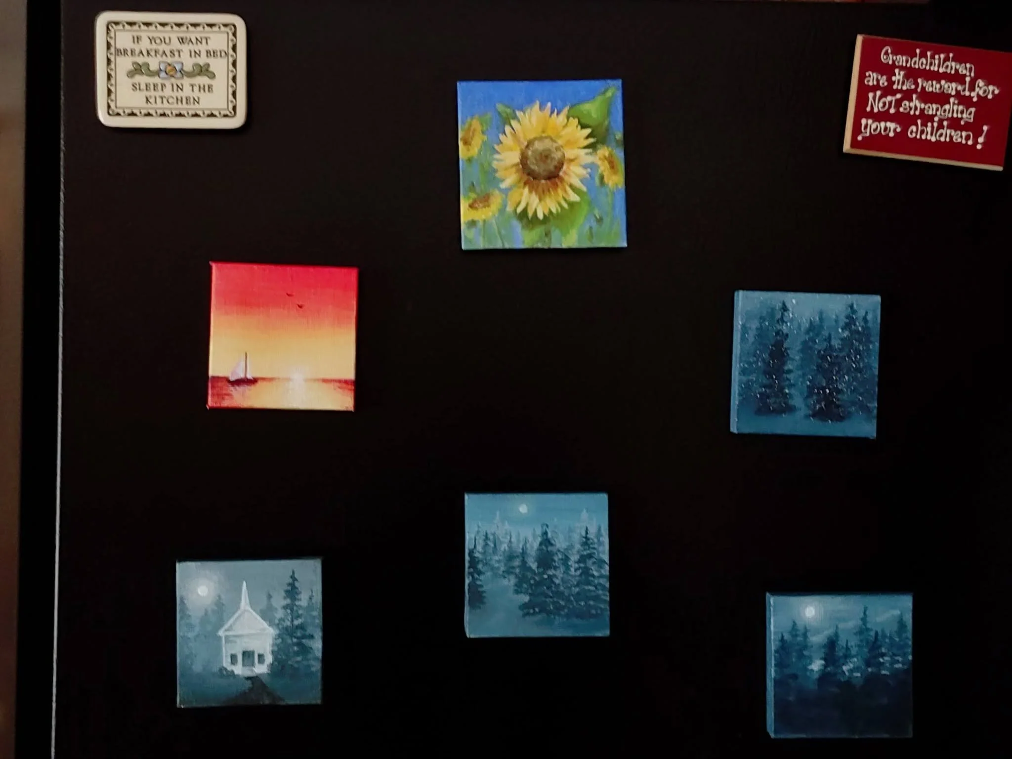 more magnets.jpg