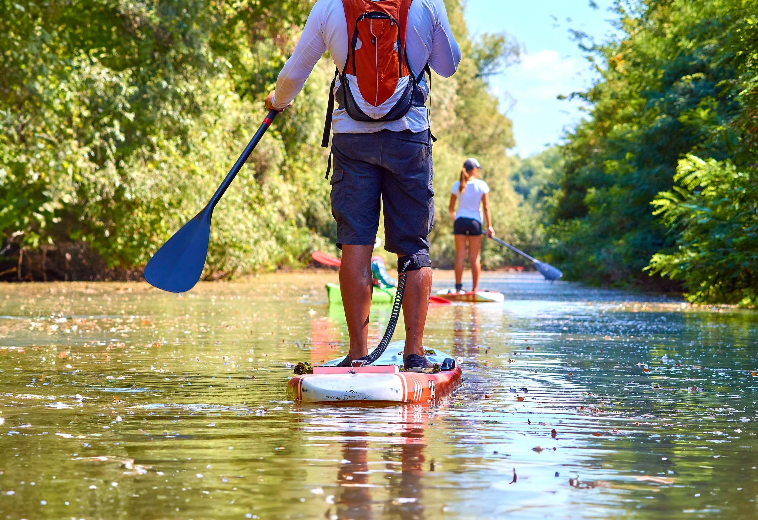 People paddleboarding on a calm river, surrounded by green trees on a sunny day.