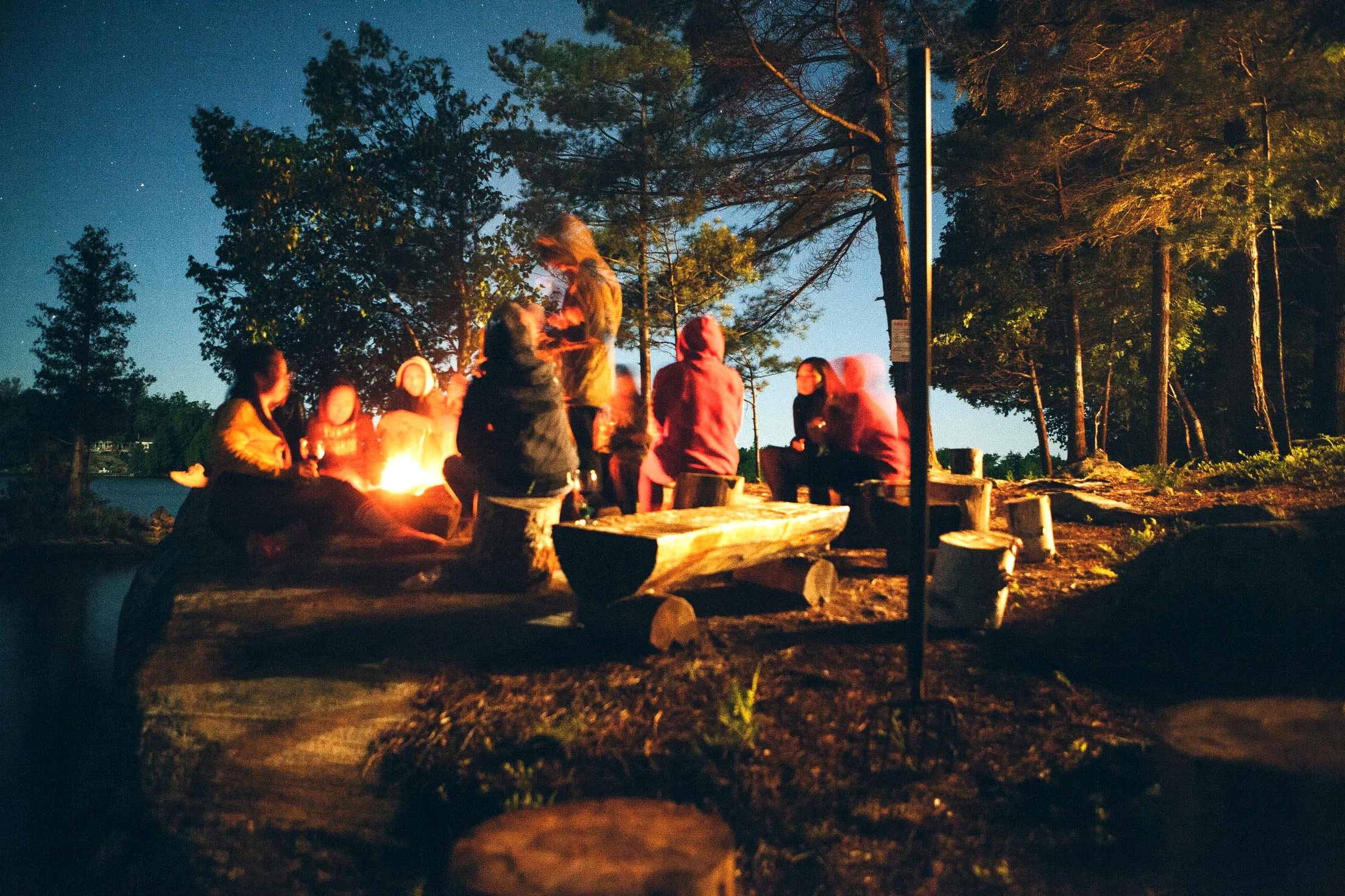 A group of people sitting around a campfire at night in a wooded area with tall trees. The sky is dark with visible stars.