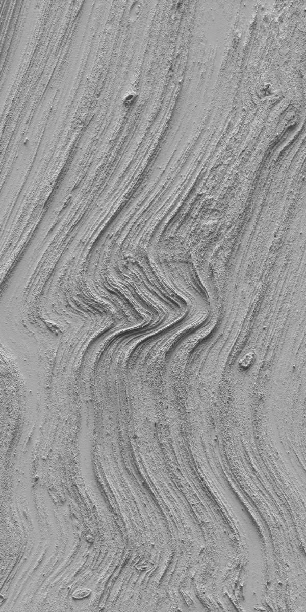 Texture di legno grigio con venature e nodi