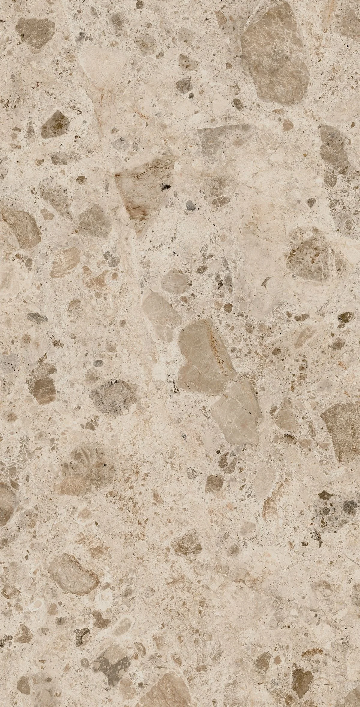 Superficie di marmo beige con venature e inclusioni di varied colore