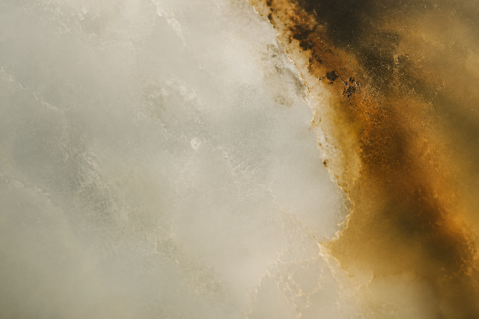 Dettaglio di una superficie di marmo con sfumature color oro, beige e marrone e venature.
