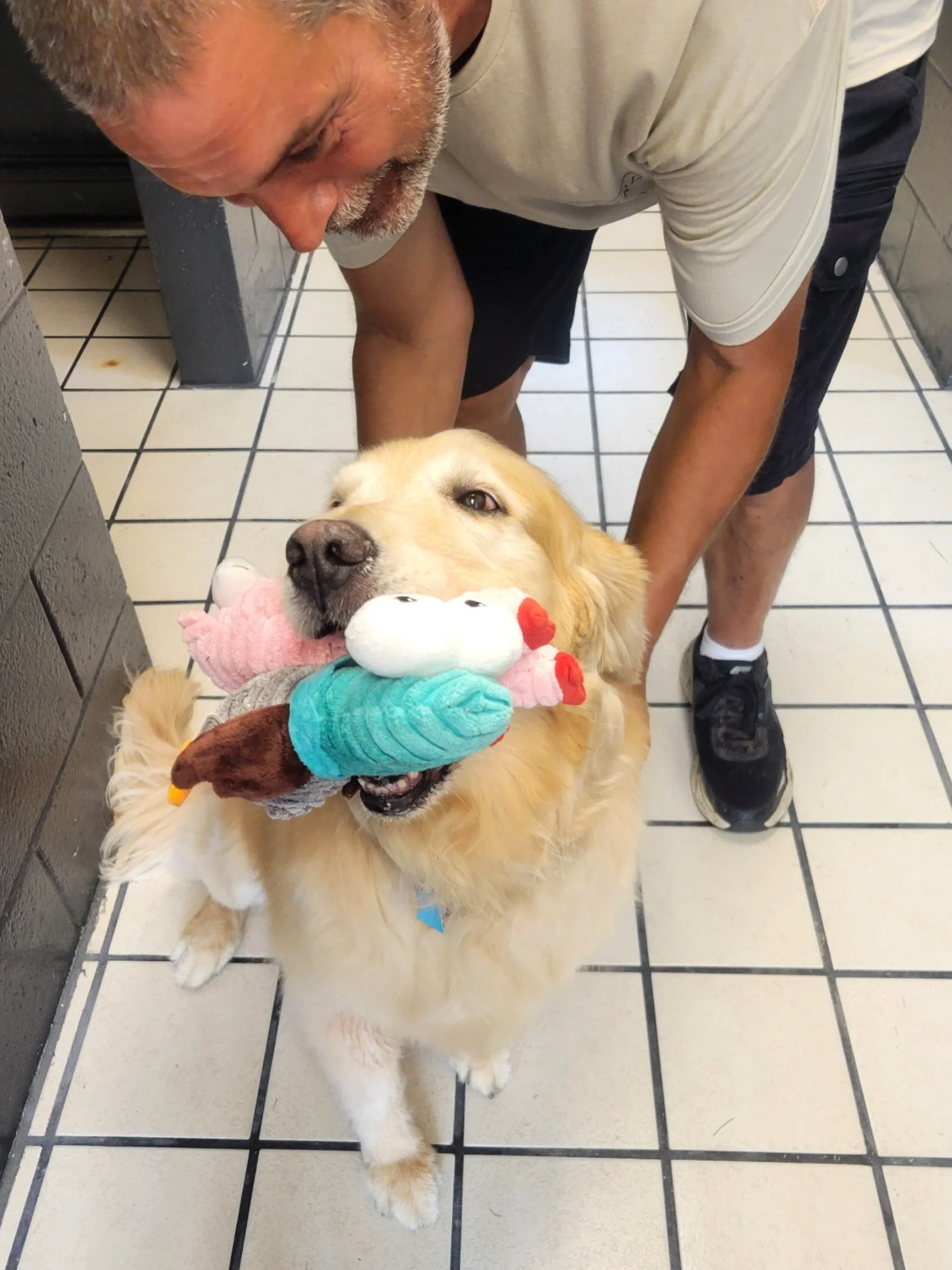 The first guest is one we&rsquo;ll never forget. 💛
Welcome to the club, Ally. Thank you for trusting us to care for your sweet girl. Here&rsquo;s to many more happy adventures together. 🐾

P.S. We think she approved of the toy selection. 🧸🐶