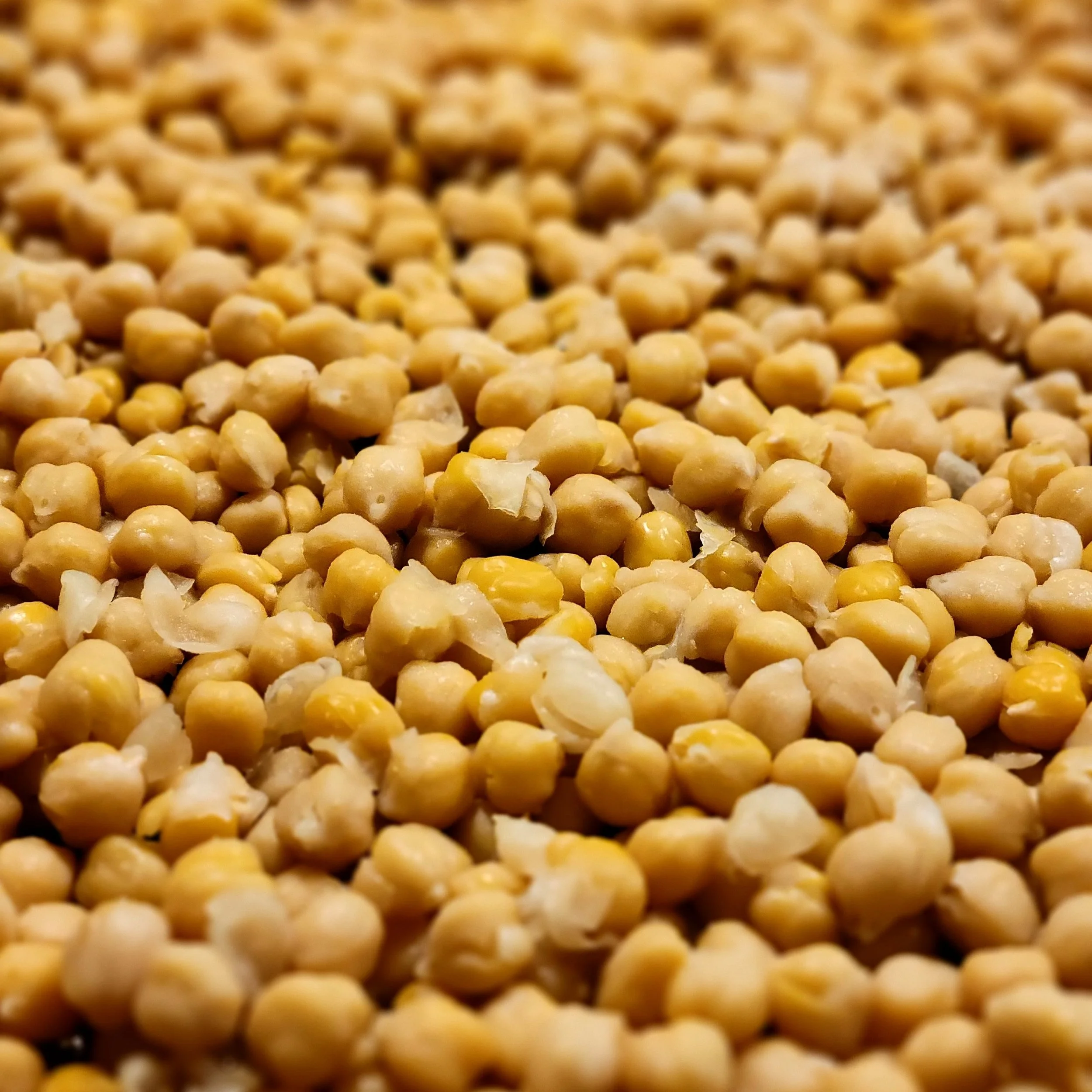 Brought to you by Chickpeas