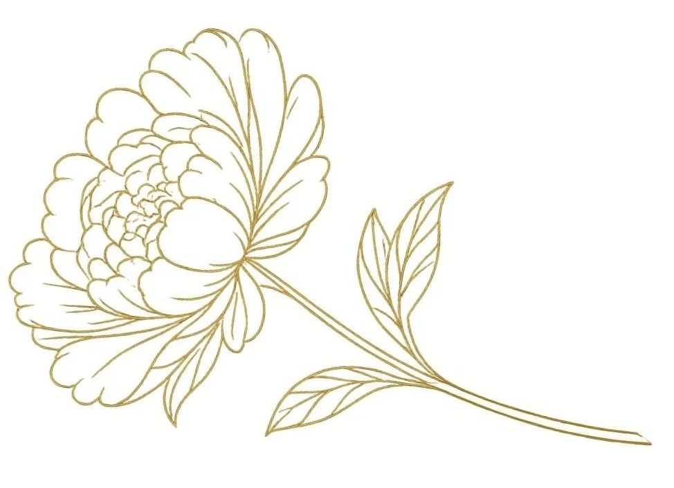 Outline drawing of a flower with leaves, sketched in gold.