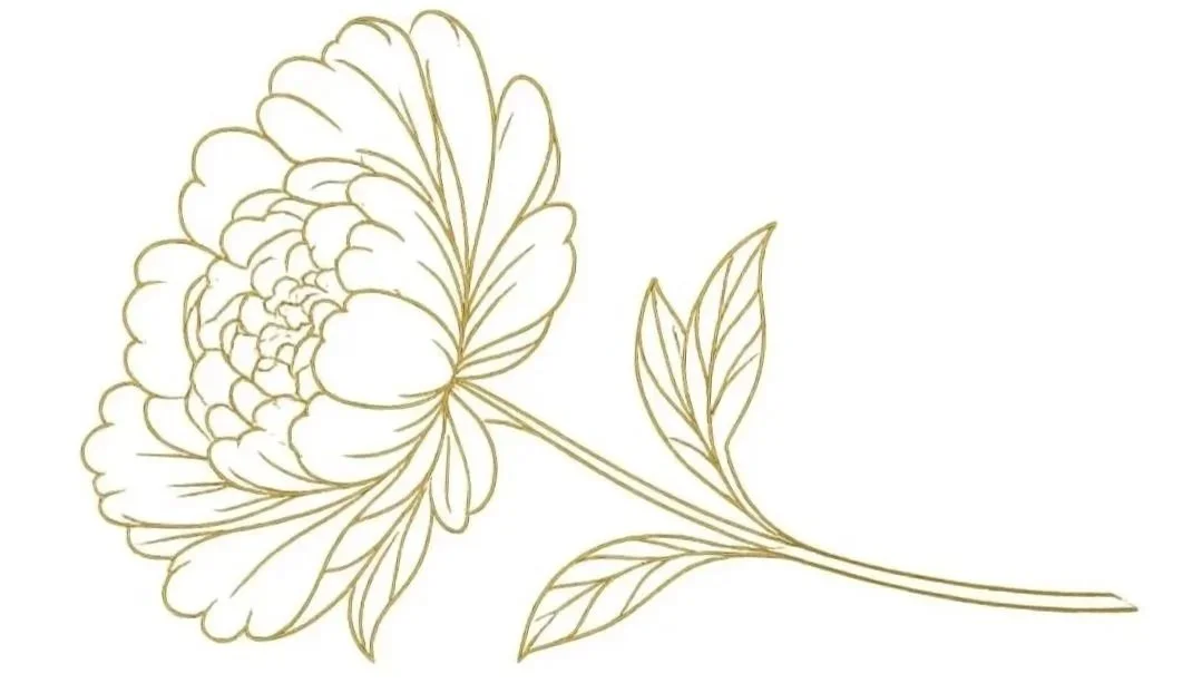 A line drawing of a peony flower with leaves on a plain background.