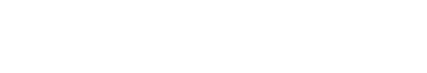 Panorama Business