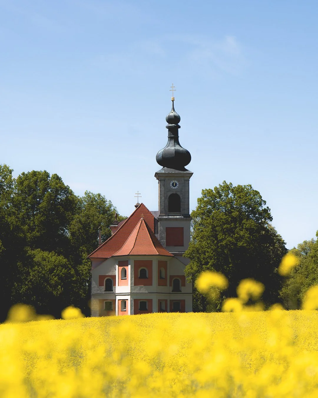 Kirche mit schwarzen Turmspitze, rotem Dach und umgeben von grünen Bäumen, im Vordergrund gelber Blumenfeld bei sonnigem Himmel.