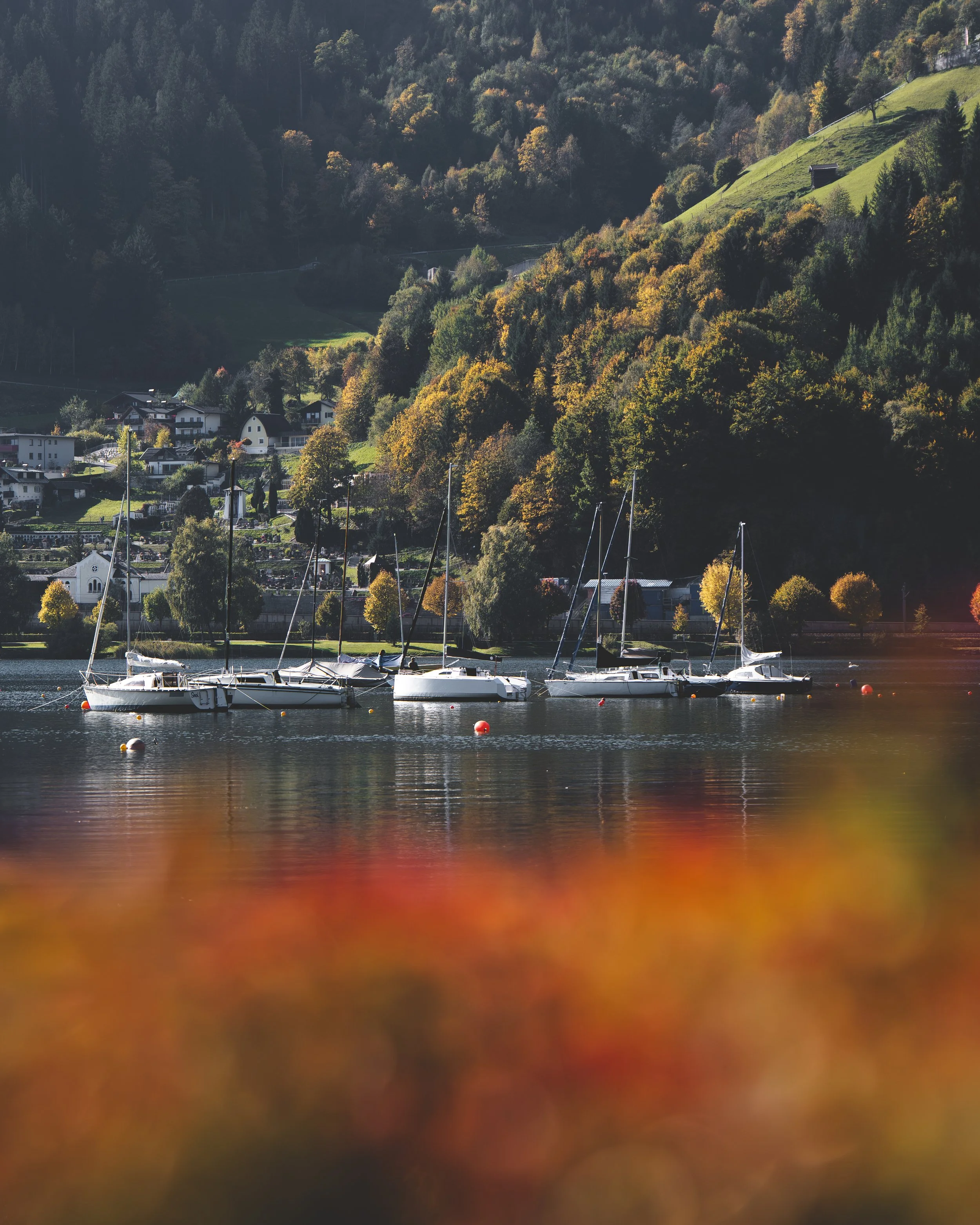 Ein See mit mehreren Segelbooten vor einem bewaldeten Hang im Herbst mit bunten Blättern.
