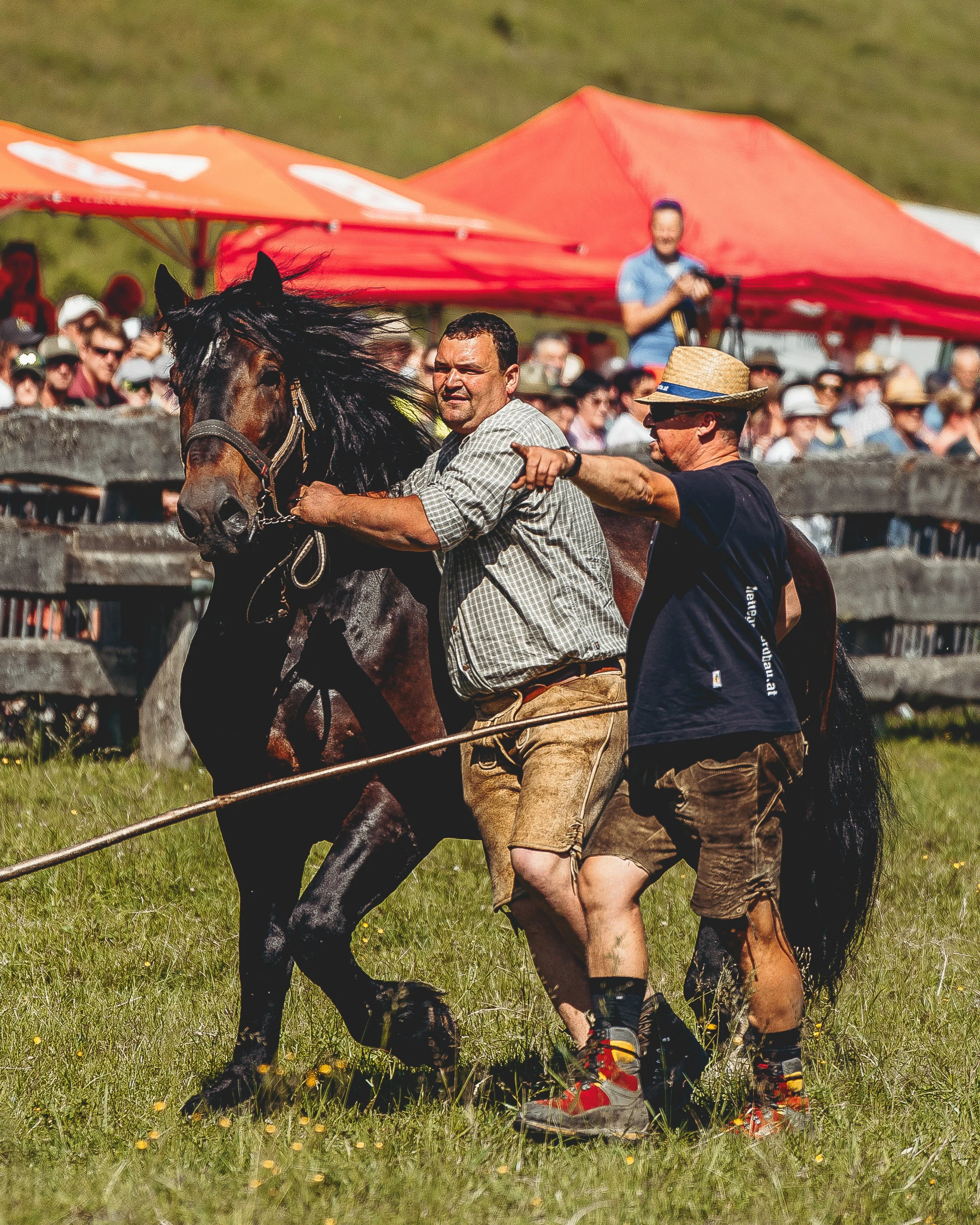 Zwei Männer reiten auf einem schwarzen Pferd auf einer grünen Wiese, während im Hintergrund eine Menschenmenge unter roten Sonnenhüten zuschaut.