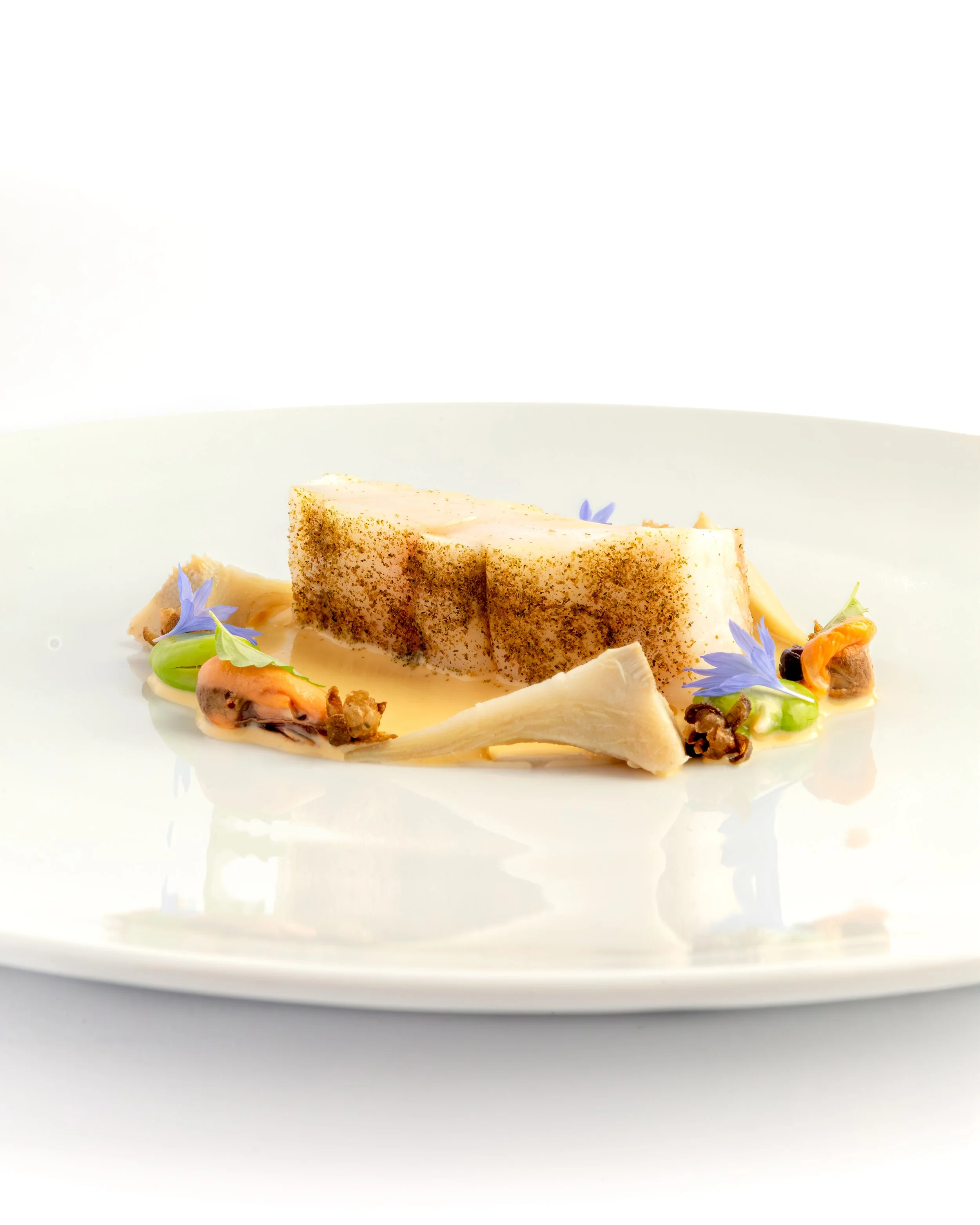 Turbot_2.jpg