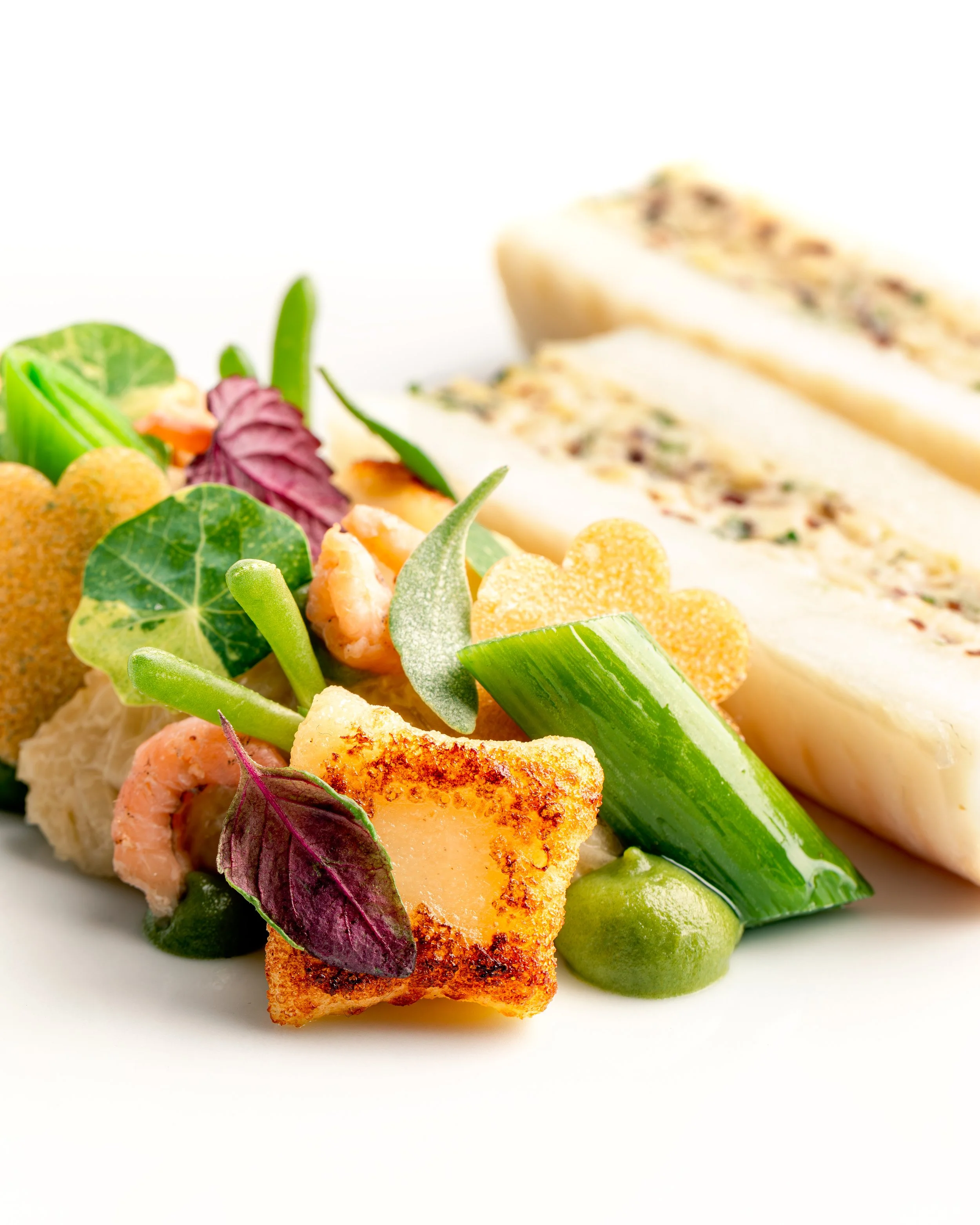 Close-up of a gourmet fish dish garnished with fresh herbs and vegetables on a white plate.