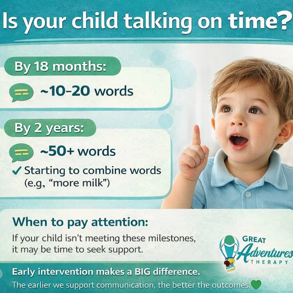 Often parents assume that their child is on track with communication milestones, but does anyone really know what those milestones actually are? 

By 2 years old your child should have 50 or more words, and these words should be not just be vocabular