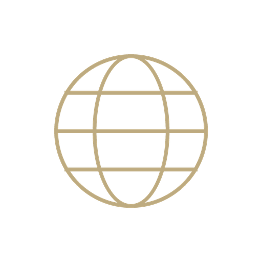 A beige wireframe globe with a black background.