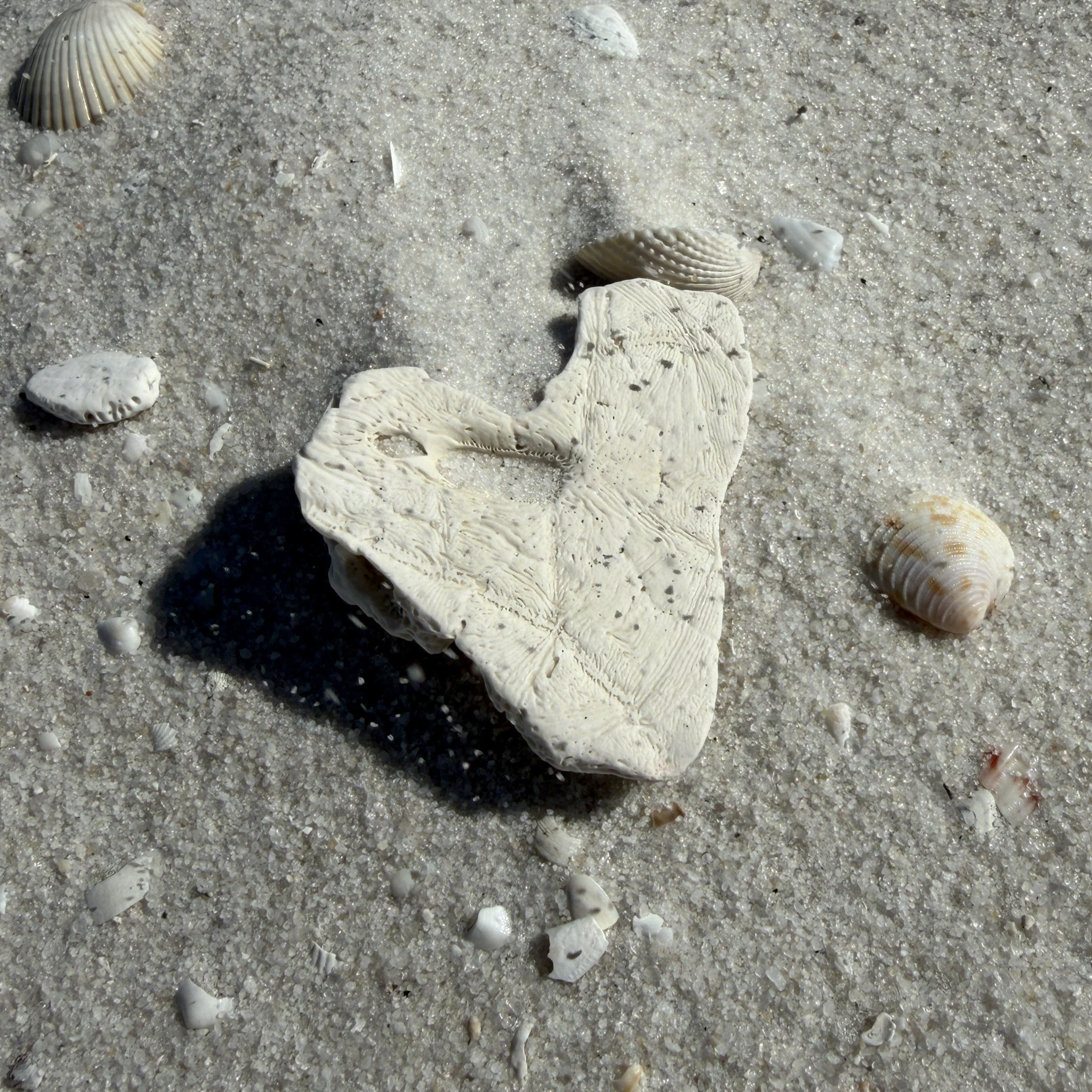 A Heart of Wonder in a Culture of Offense