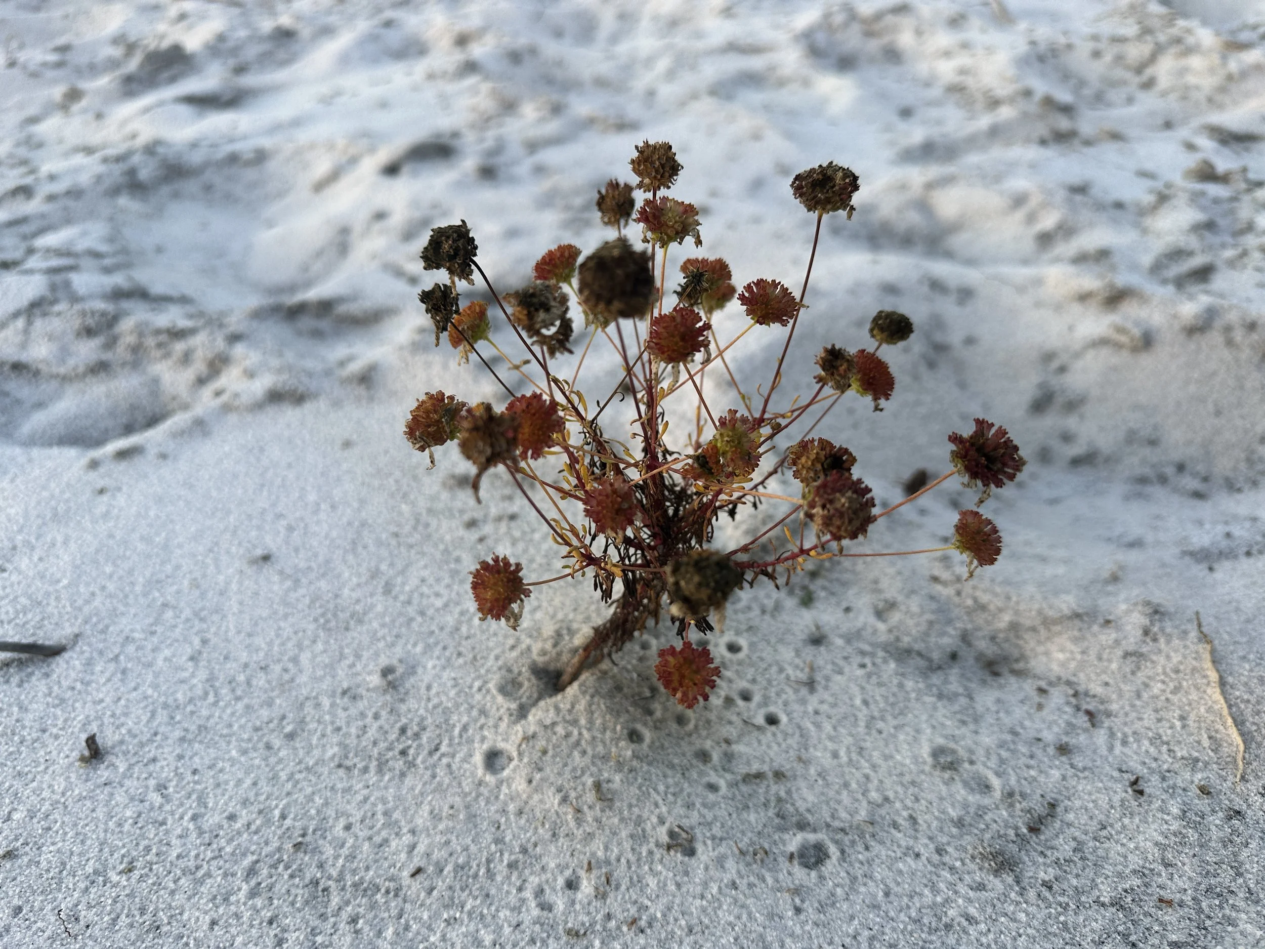 Scriptures for Trauma and Hypervigilance: How to Reclaim Your Soul