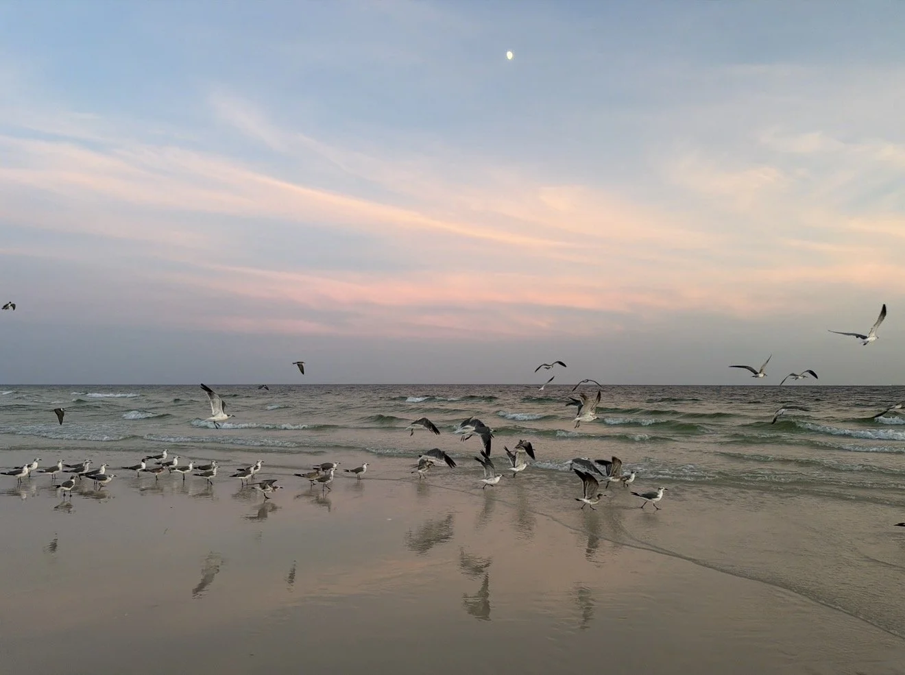 A Dance of Faith and Obedience
