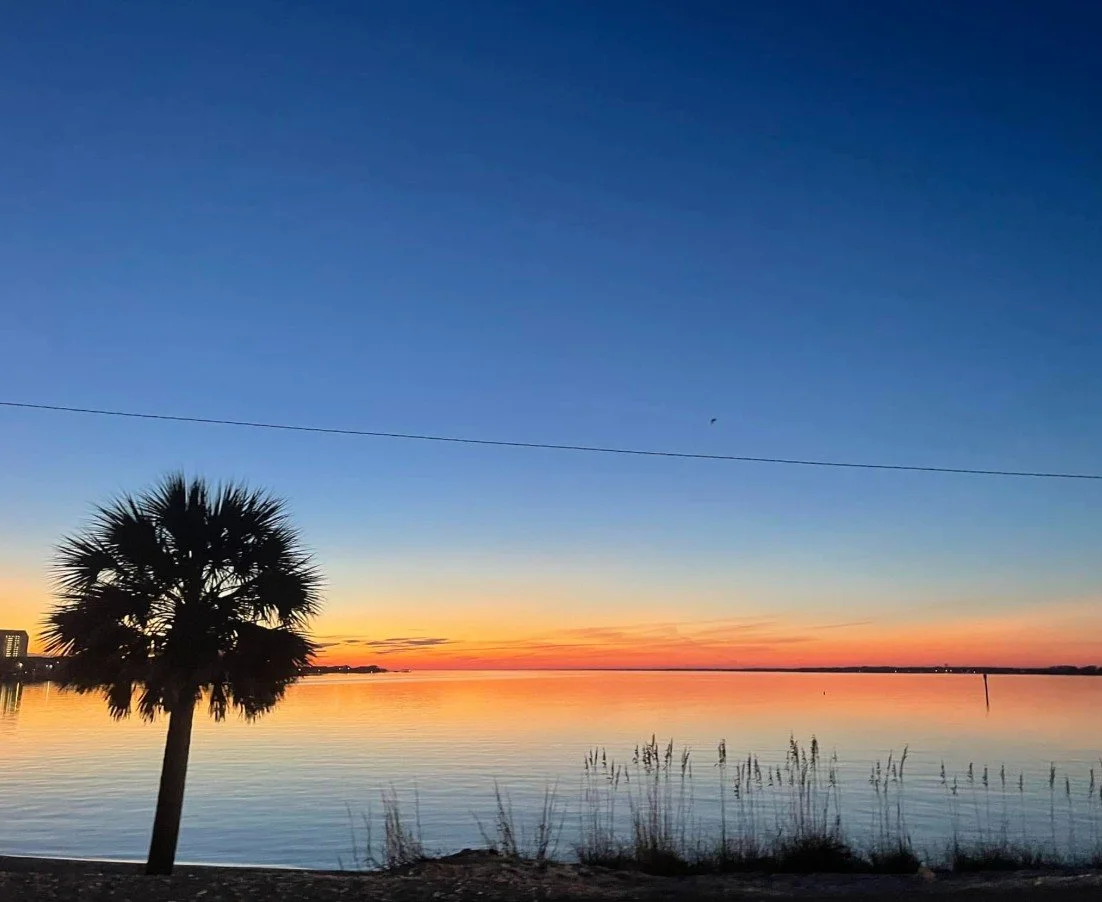 Silhouetted palm tree beside calm water at sunset, with vivid orange and pink light along the horizon fading into a deep blue sky.