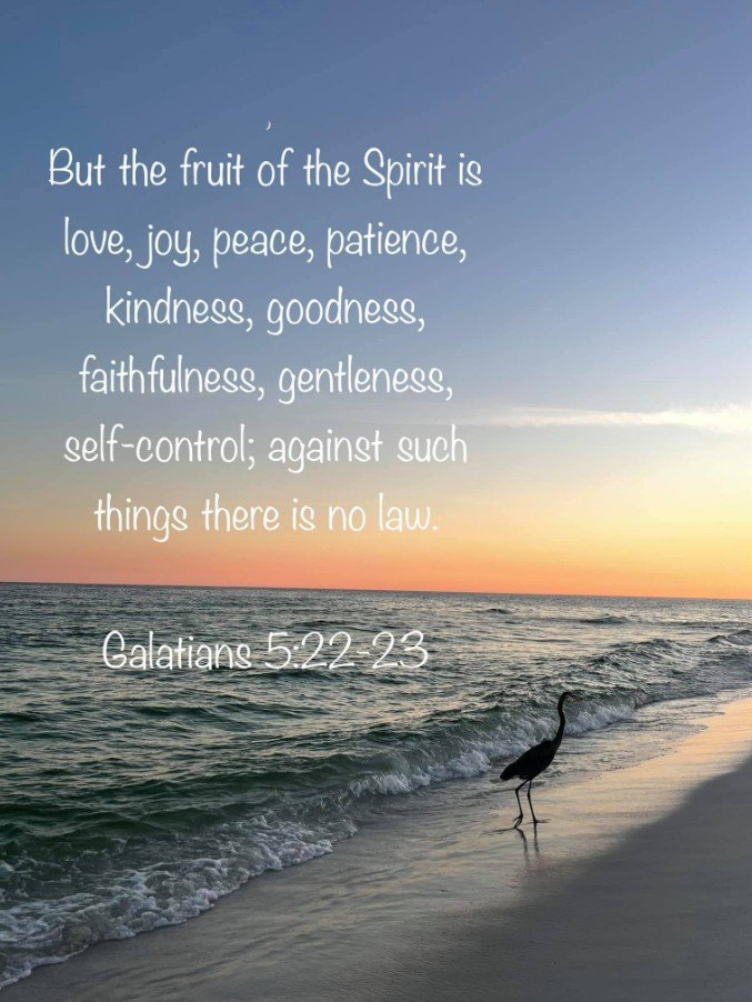 Galatians 5:22–23 displayed over a peaceful beach at sunset, with a silhouetted heron standing at the water’s edge beneath a crescent moon.