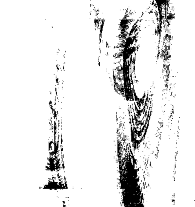 Black and white abstract pattern with vertical lines and shapes.