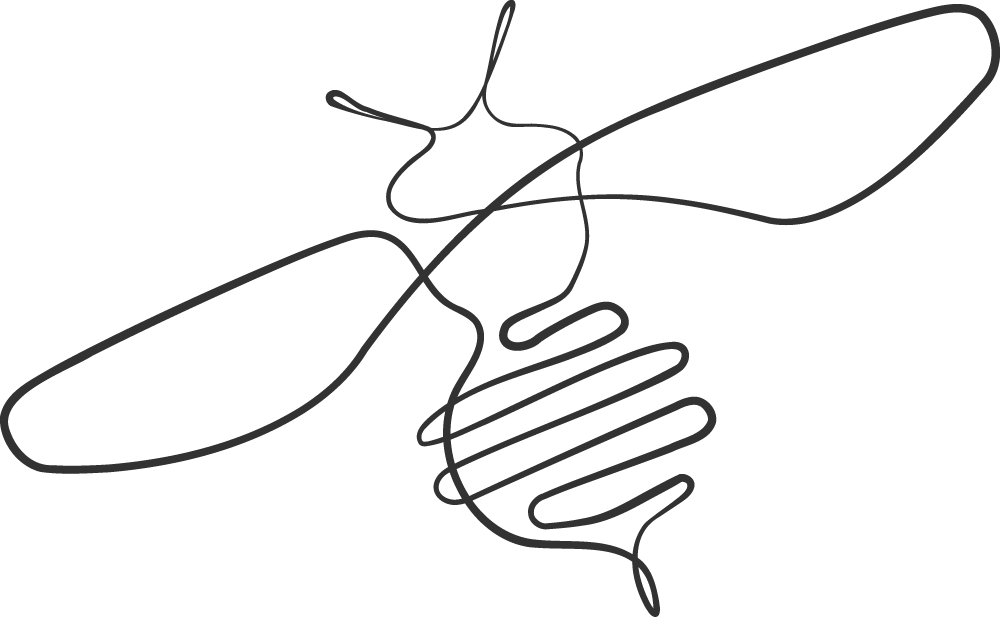 Dragonfly illustration for Robert Avenell, designed by madebycross.com