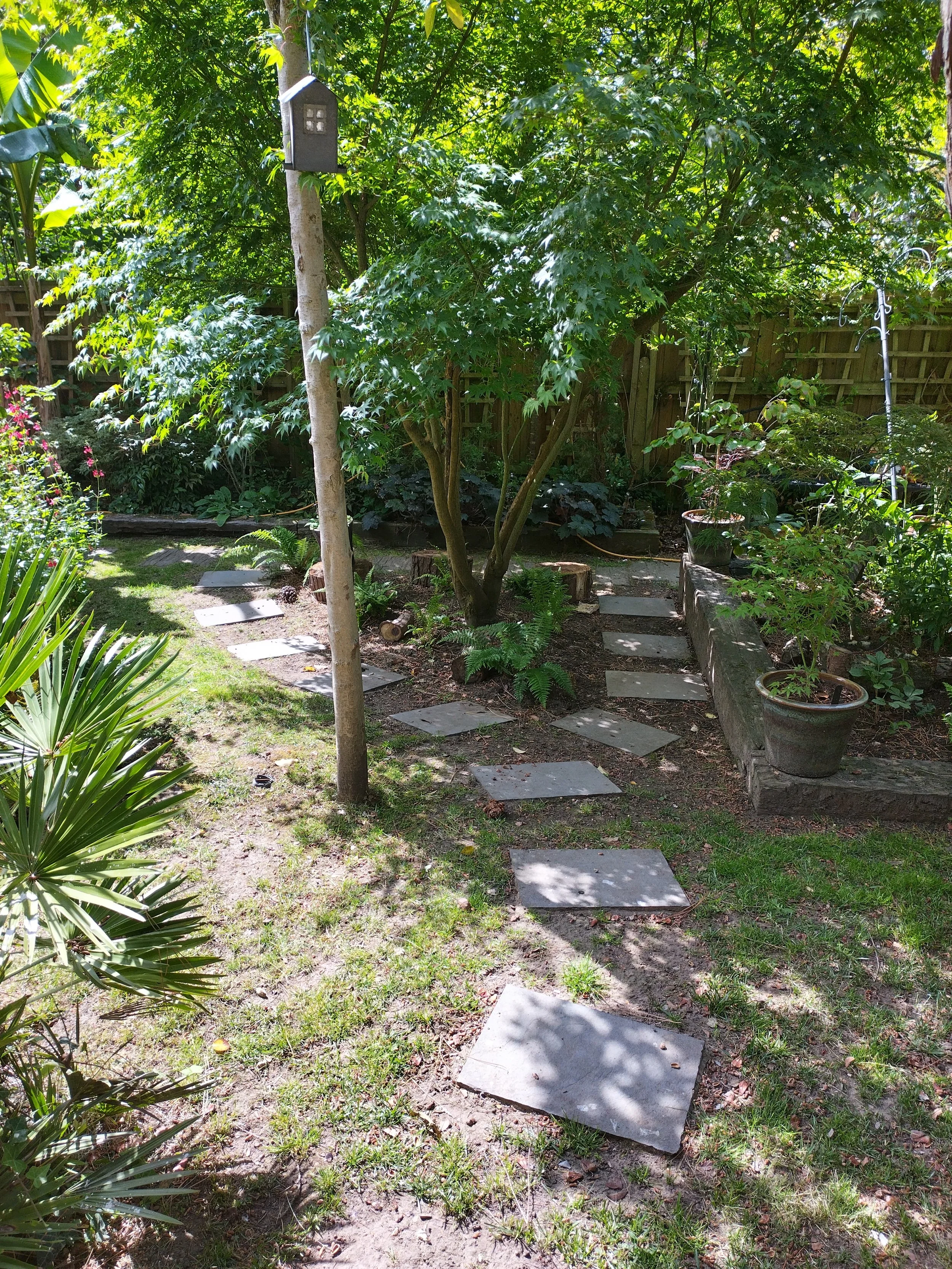 IMG_20260616_103727_HDR.jpg
