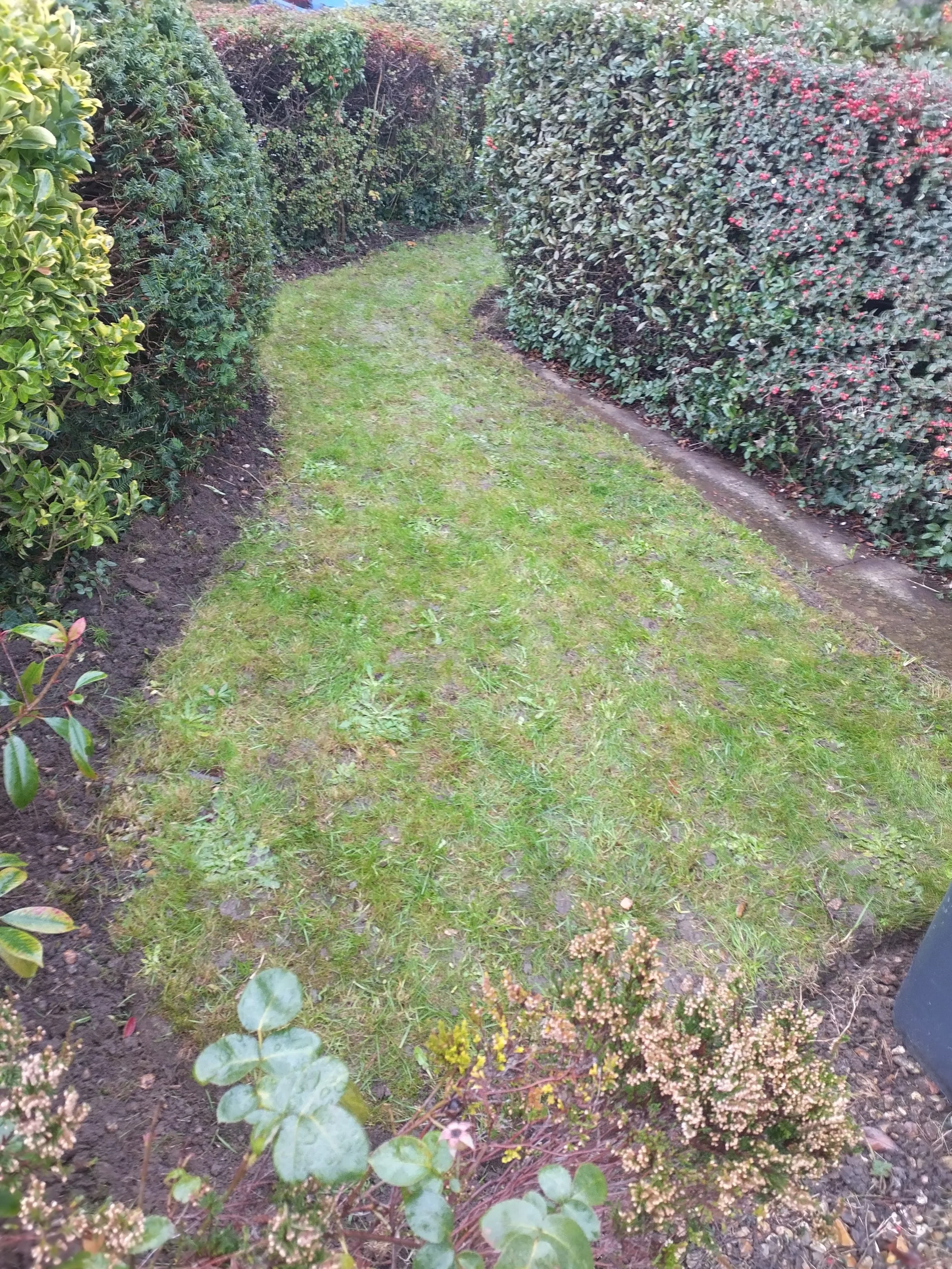 Thornton Close