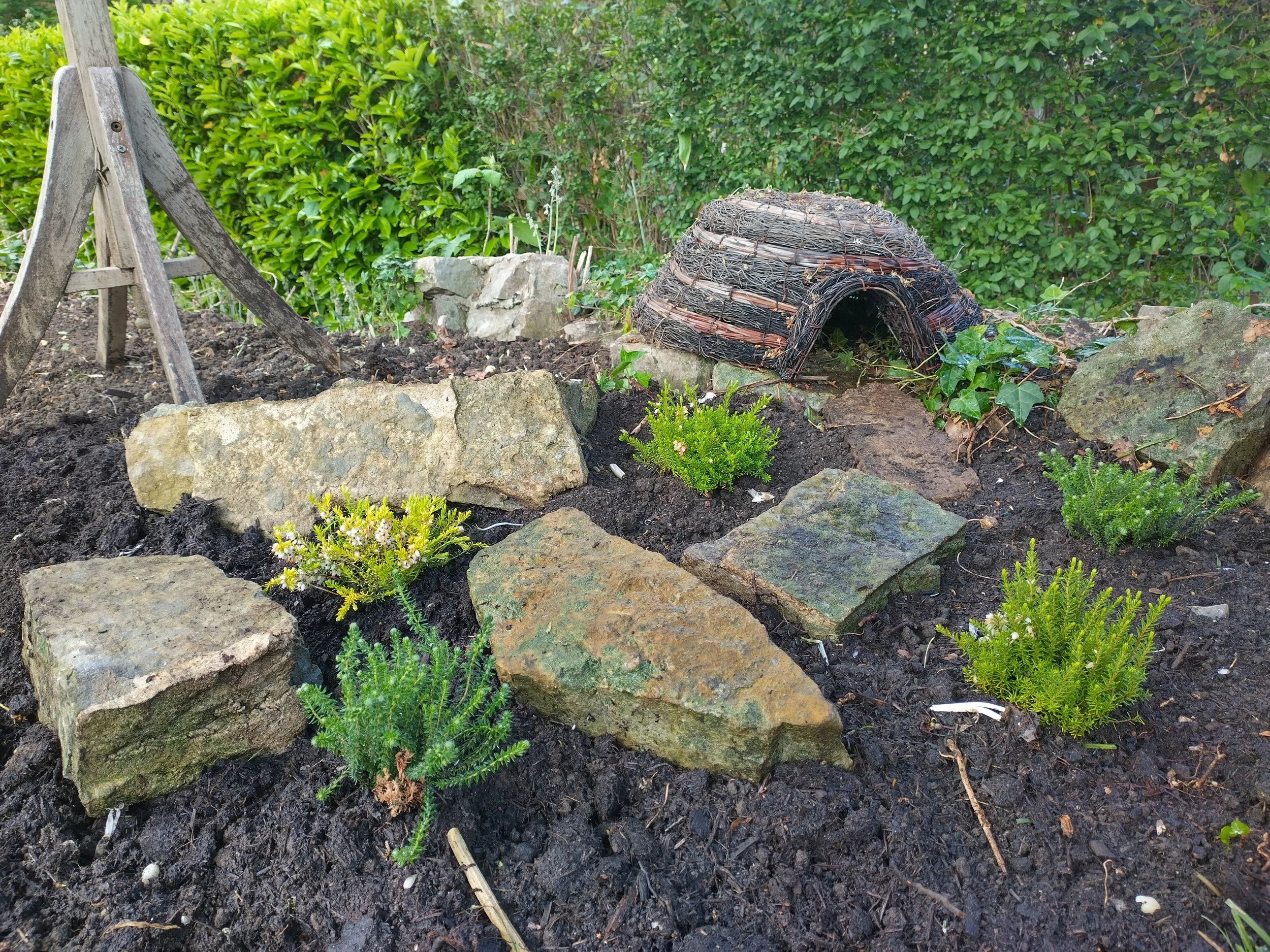 Surrey Biodiversity Oasis Garden