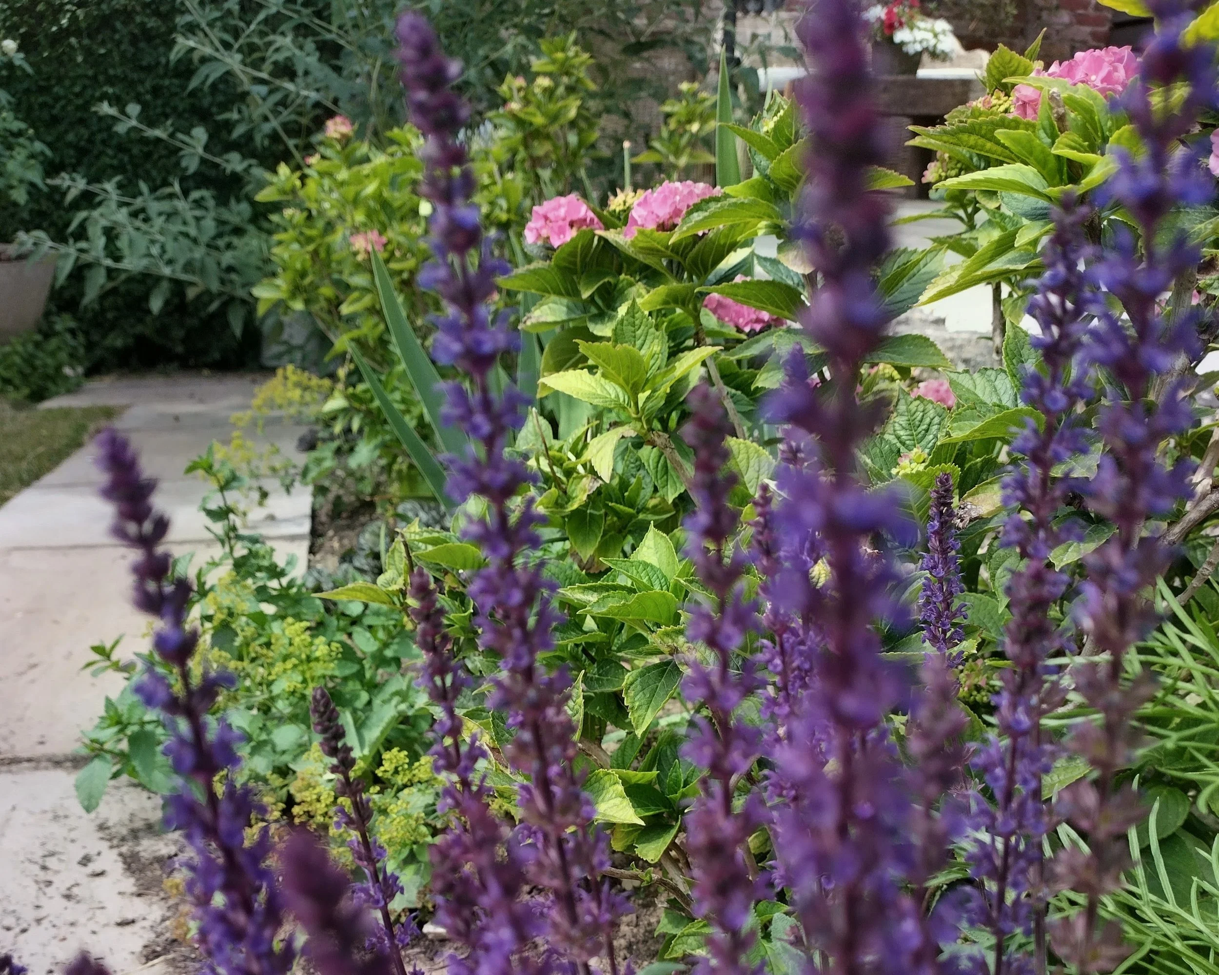 IMG_20260703_143104_HDR~2.jpg