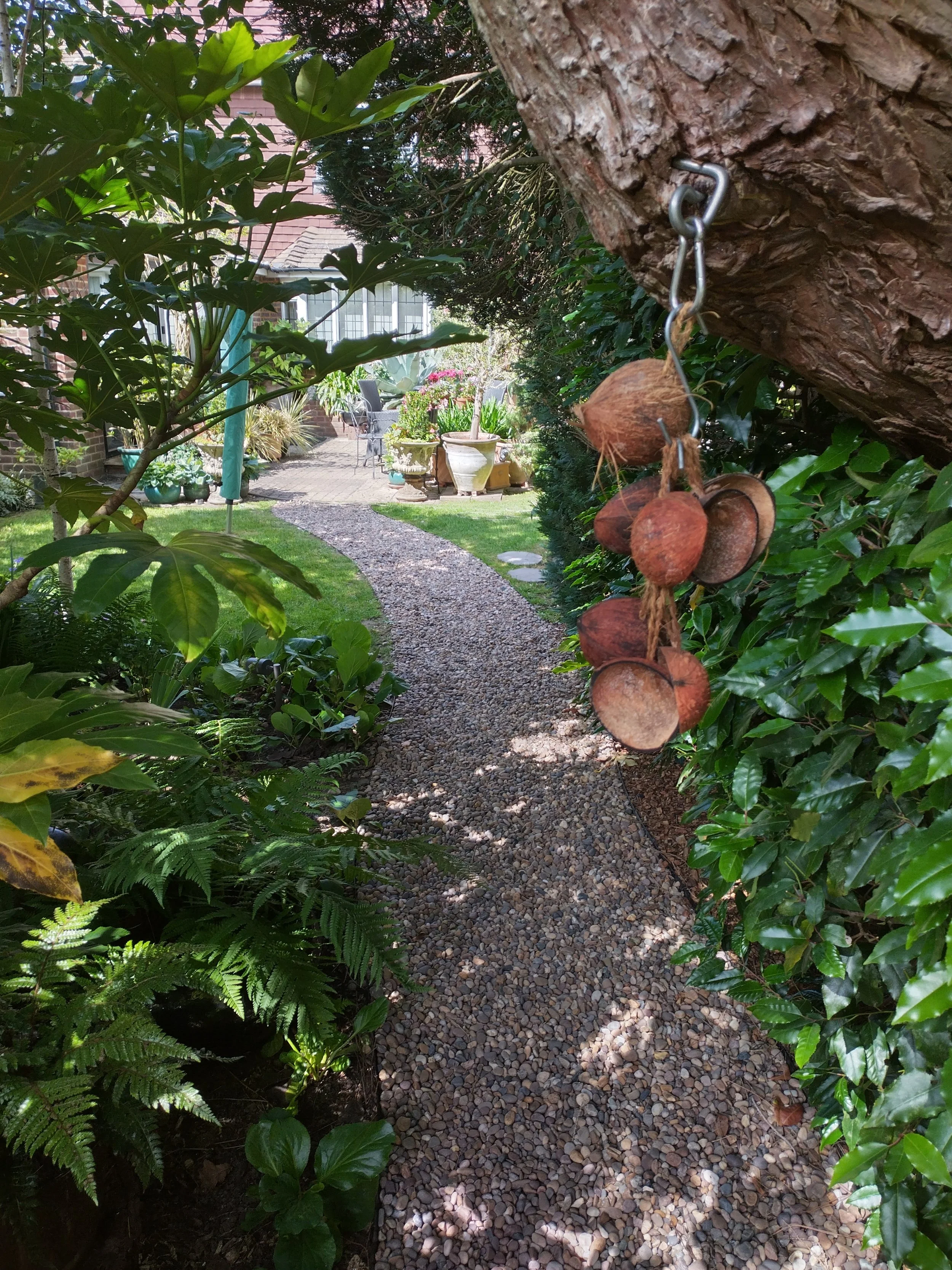 Creation of a meandering path under a tree canopy