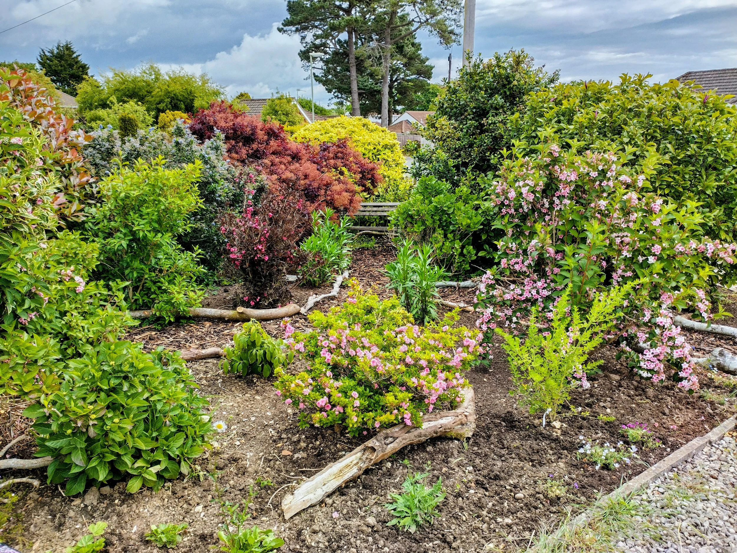 New Forest Wildlife Garden