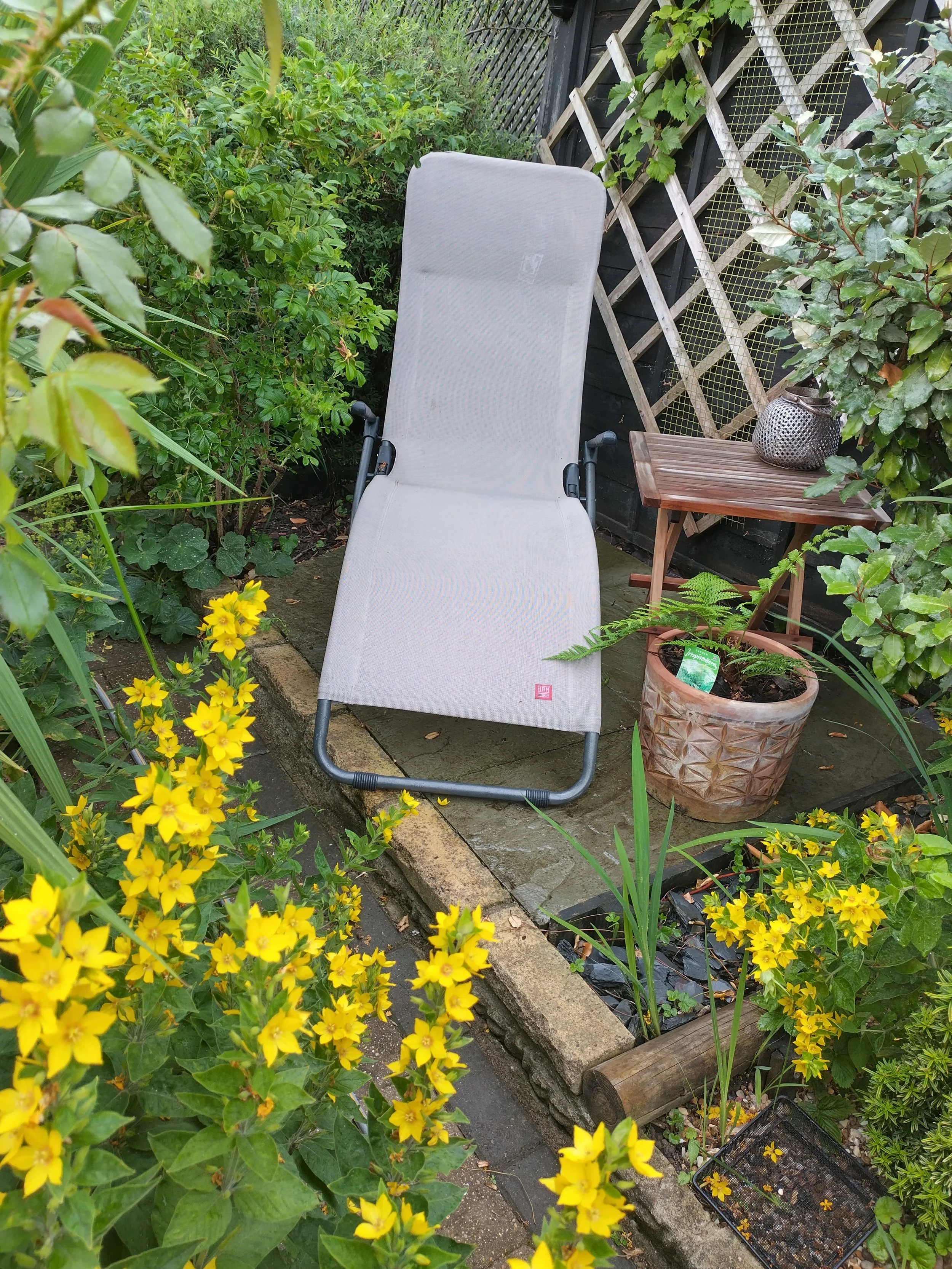 A garden scene with a gray lounge chair, a wooden side table with a decorative white lantern, lush green plants, yellow flowers, and a black fence with lattice and climbing plants.