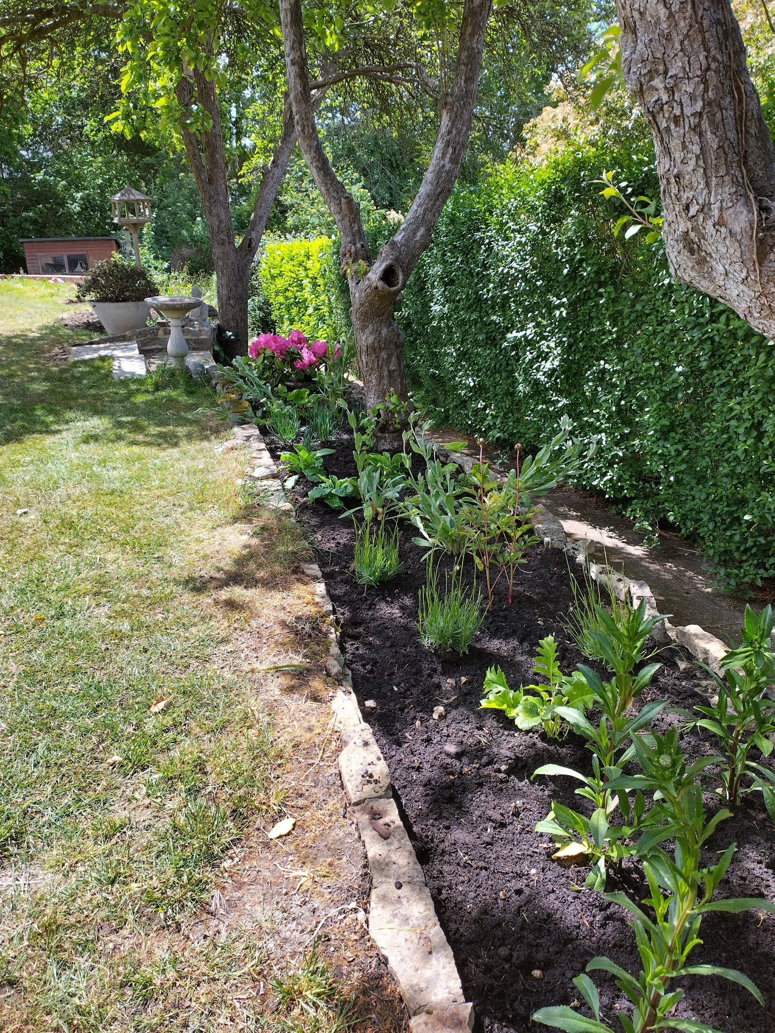 IMG_20260514_130845_HDR.jpg