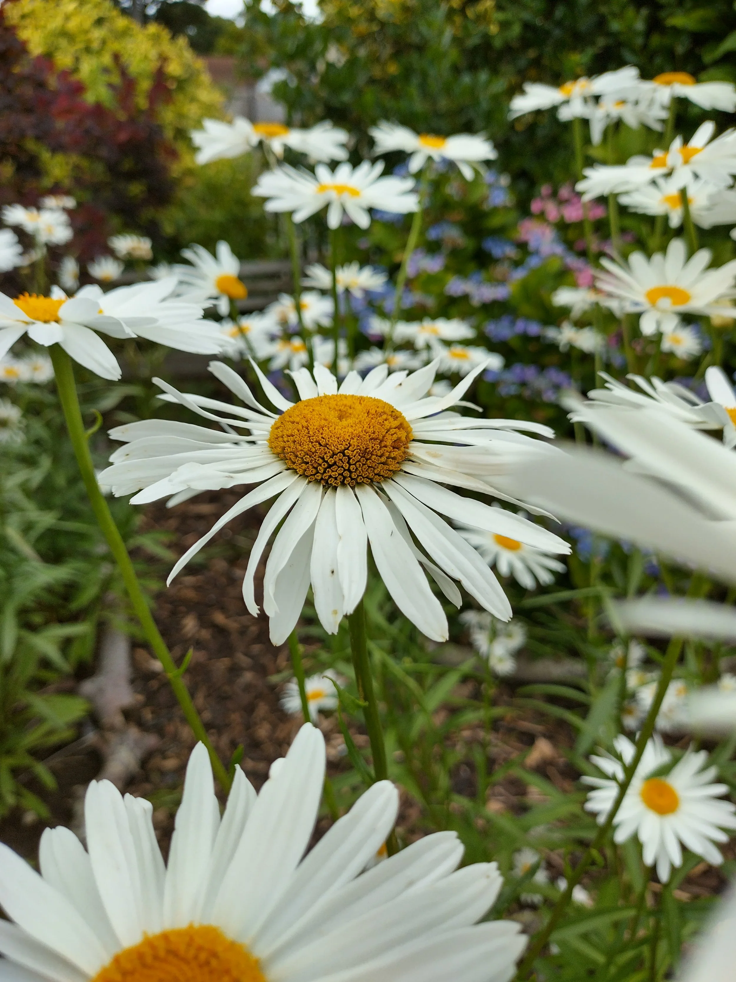 IMG_20260704_103109_HDR.jpg