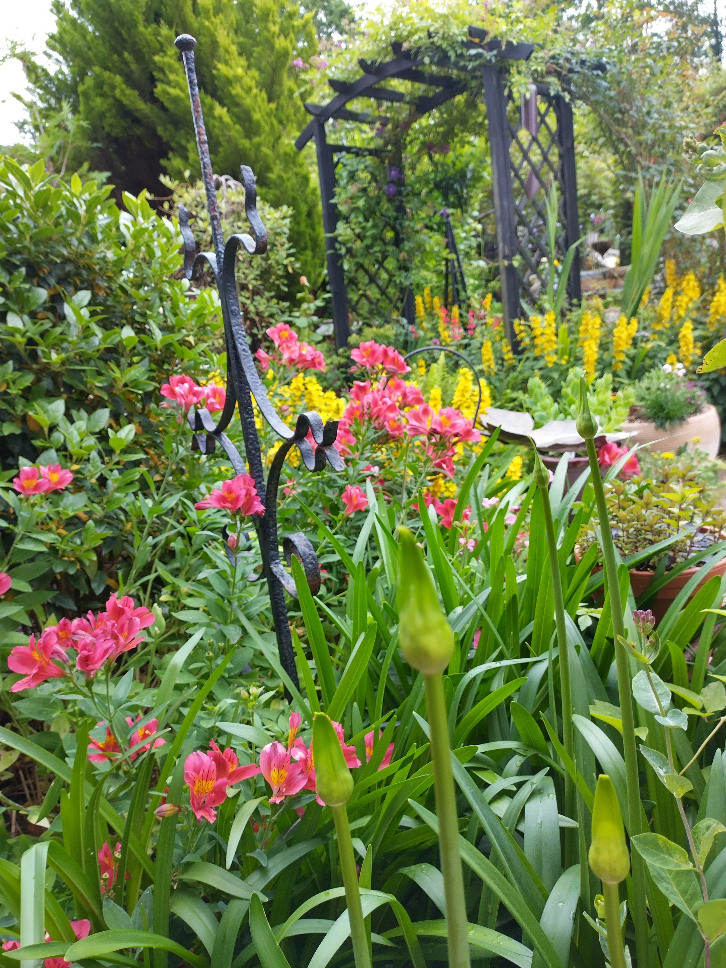 A lush garden with various flowering plants, including pink, yellow, and purple flowers, and a decorative black metal trellis.