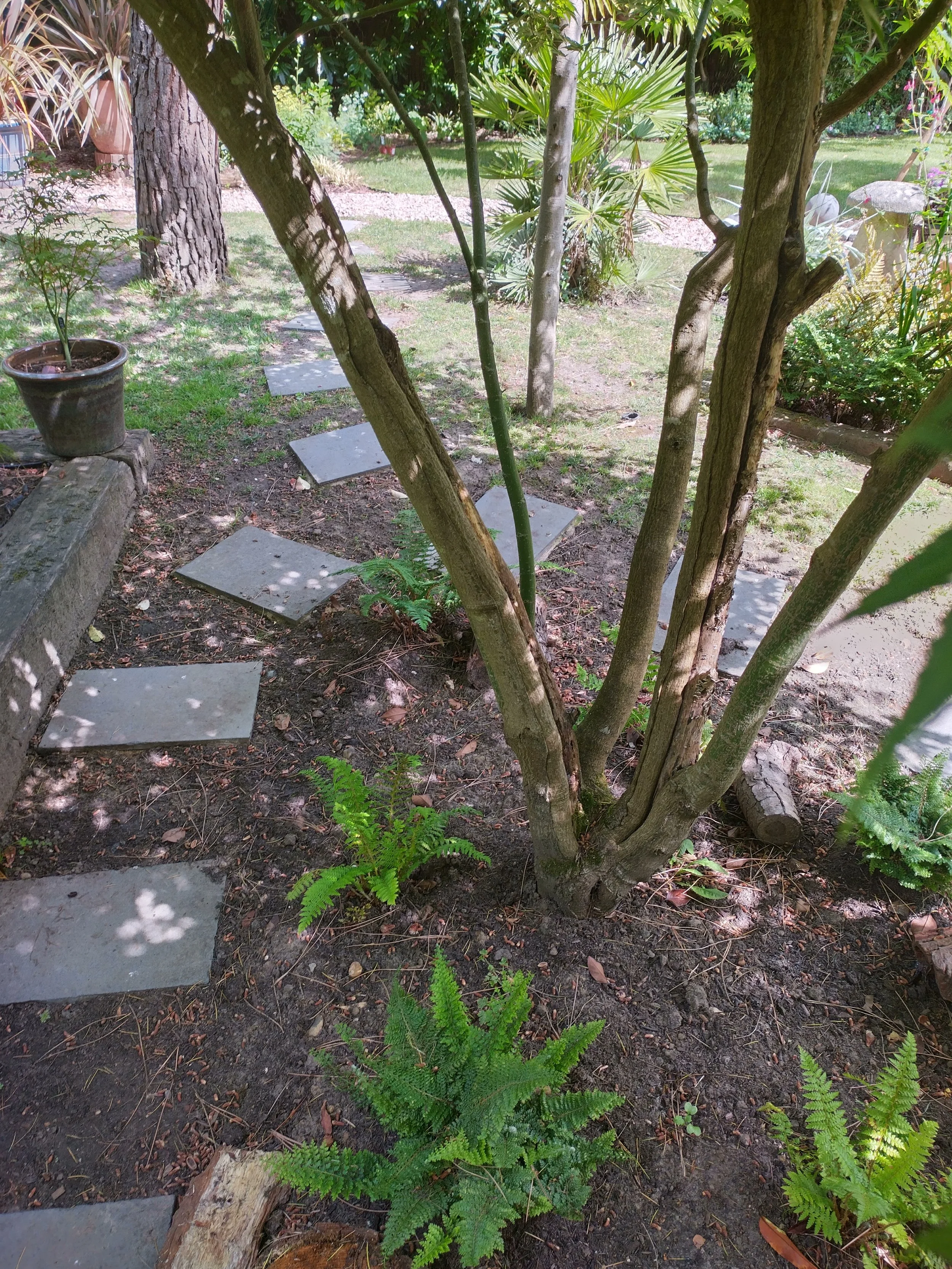 IMG_20260616_103834_HDR.jpg