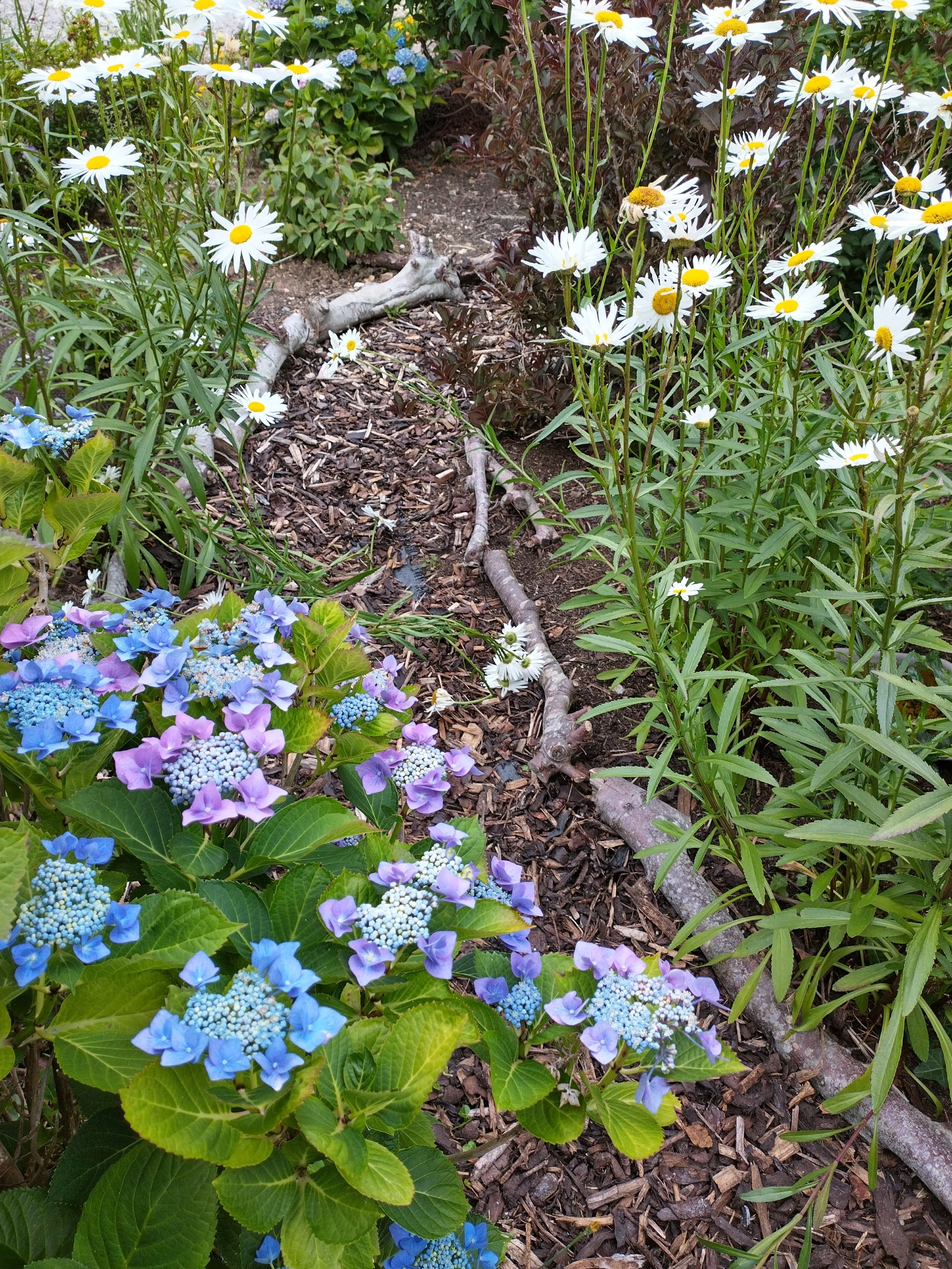 IMG_20260704_102421_HDR.jpg