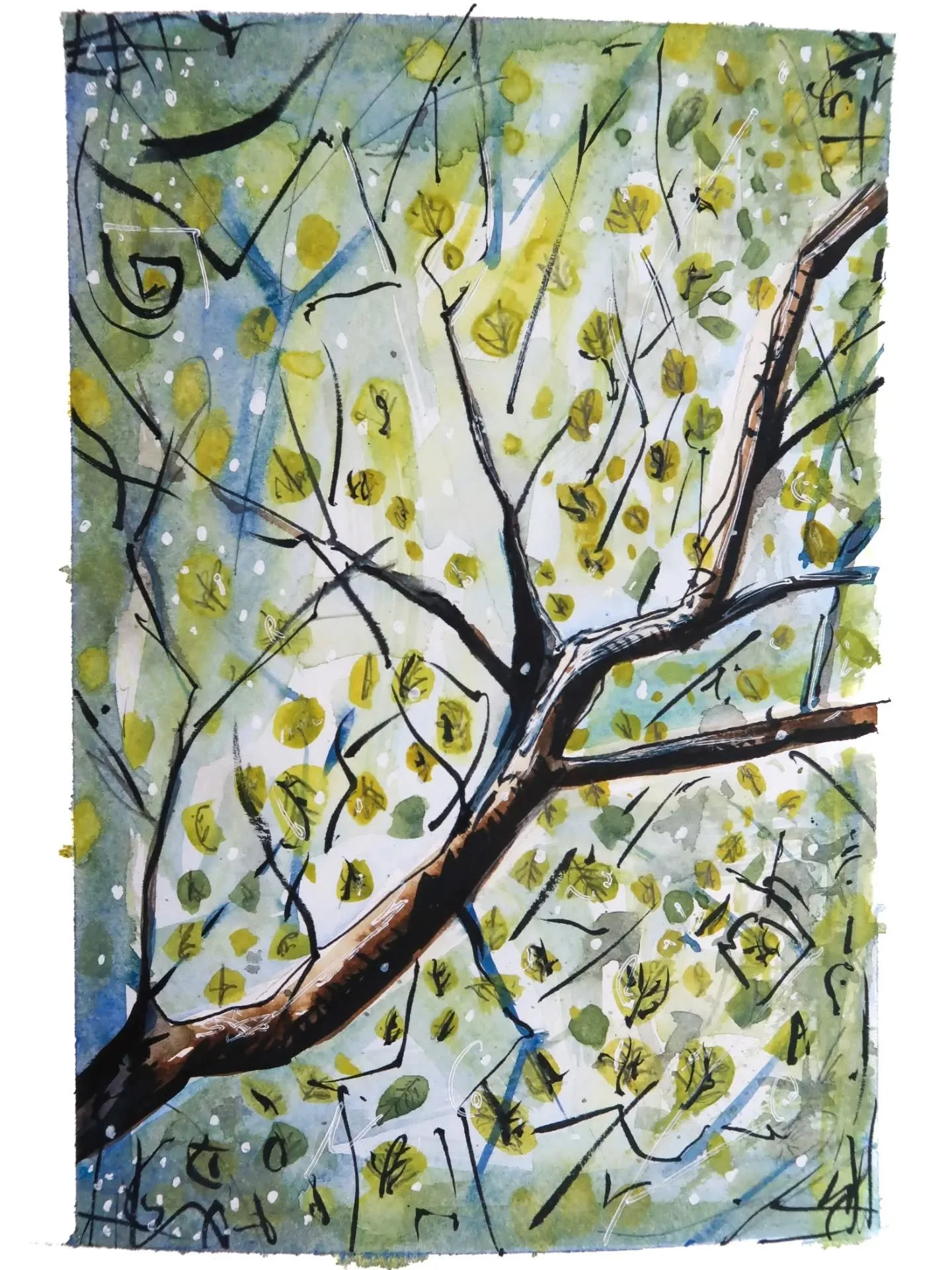 'Ogawayama Tree' - Ogawayama Japan

15x 20

Watercolour on paper