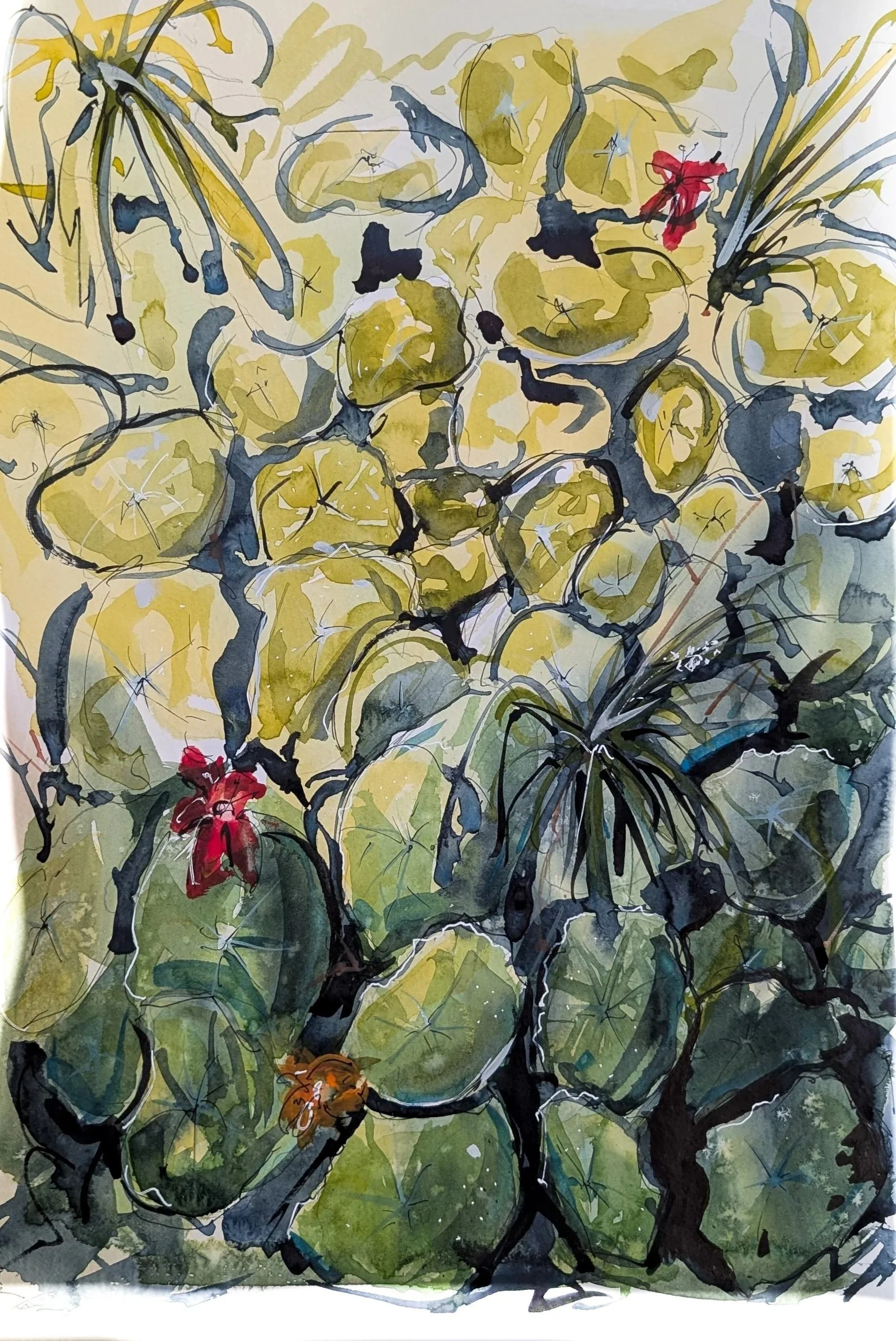 Nasturtiums 2