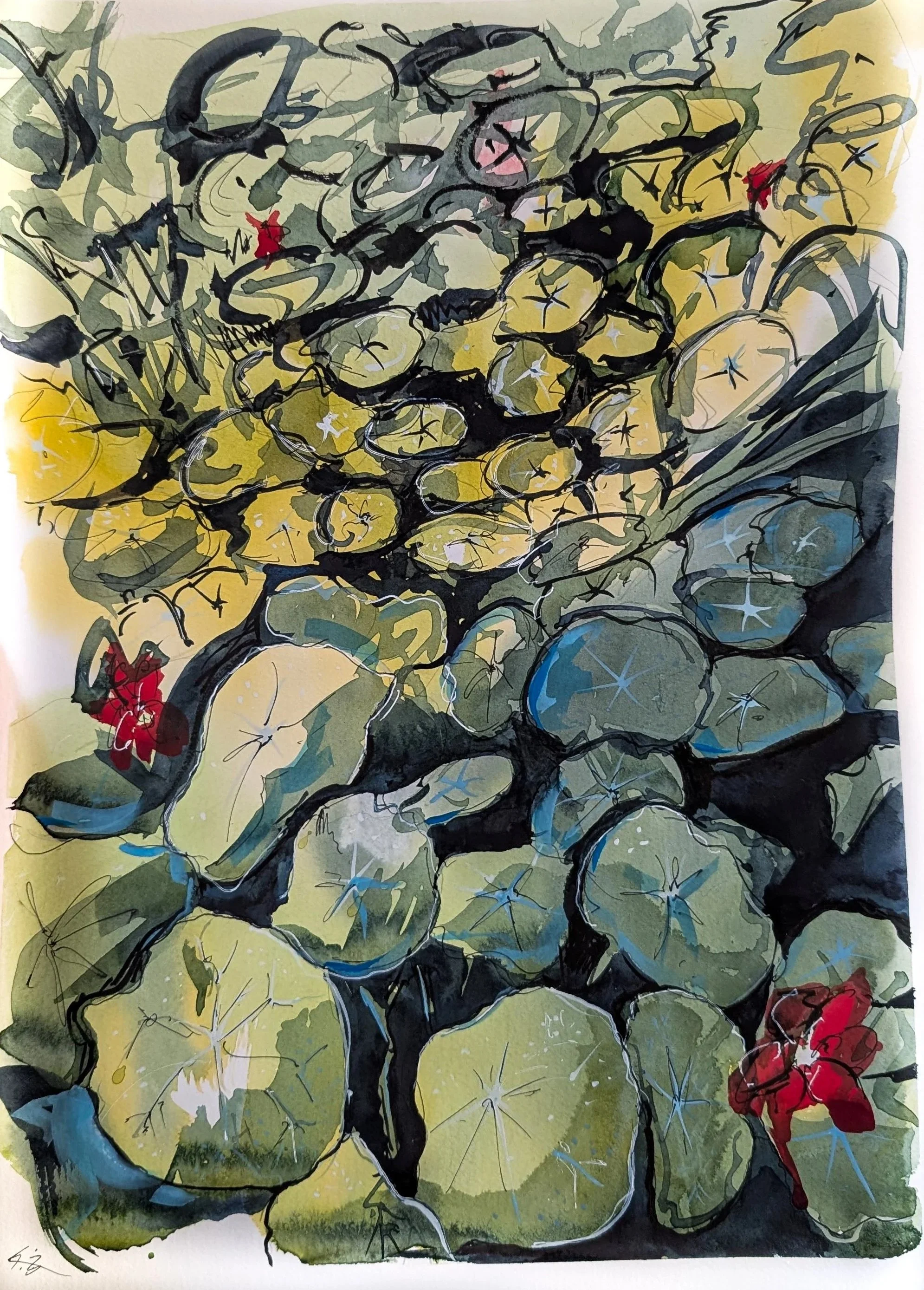 Nasturtiums 1