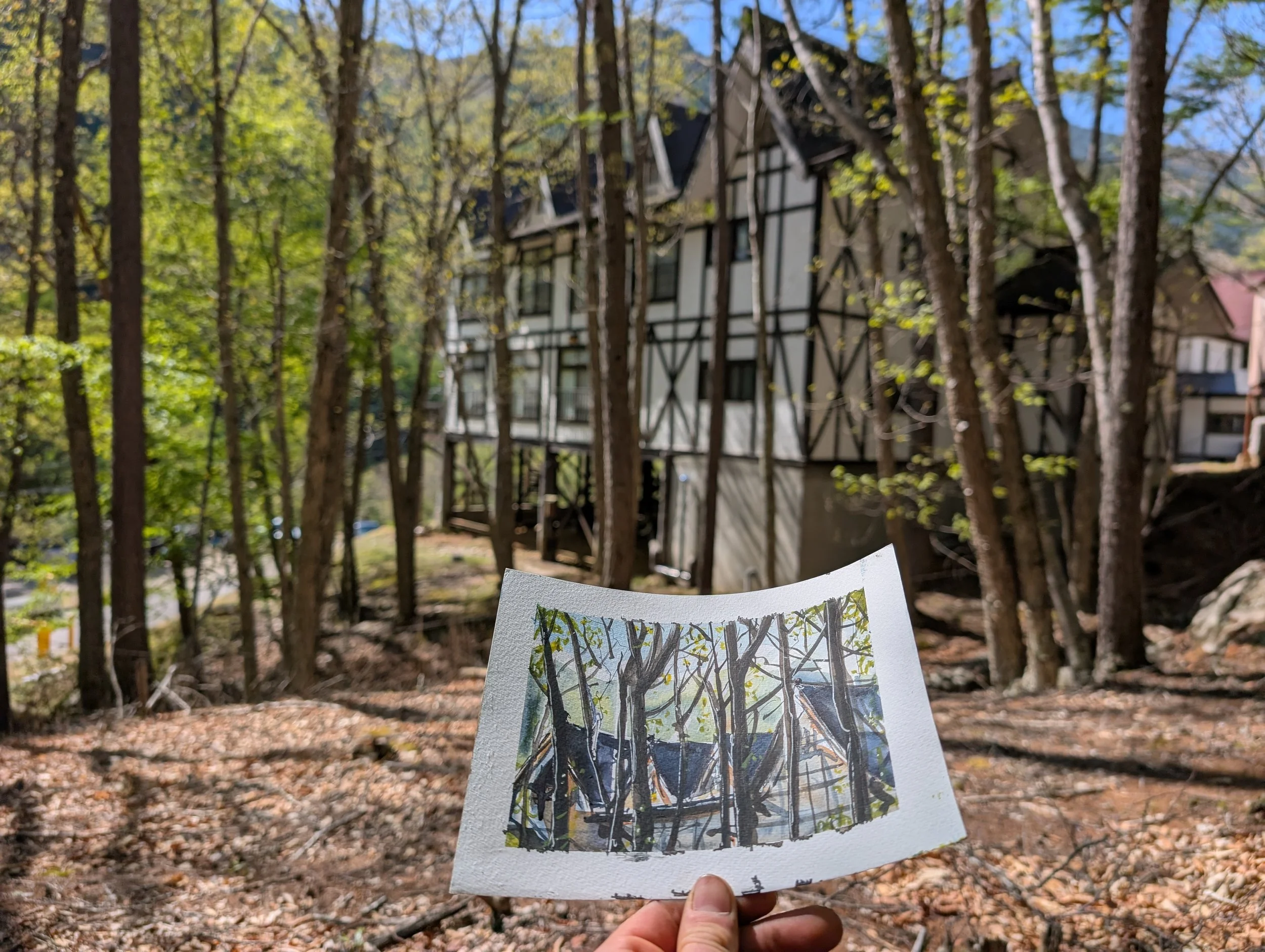 Hand holding a small watercolor painting of trees with black branches and green leaves, outdoors in a wooded area during daytime.