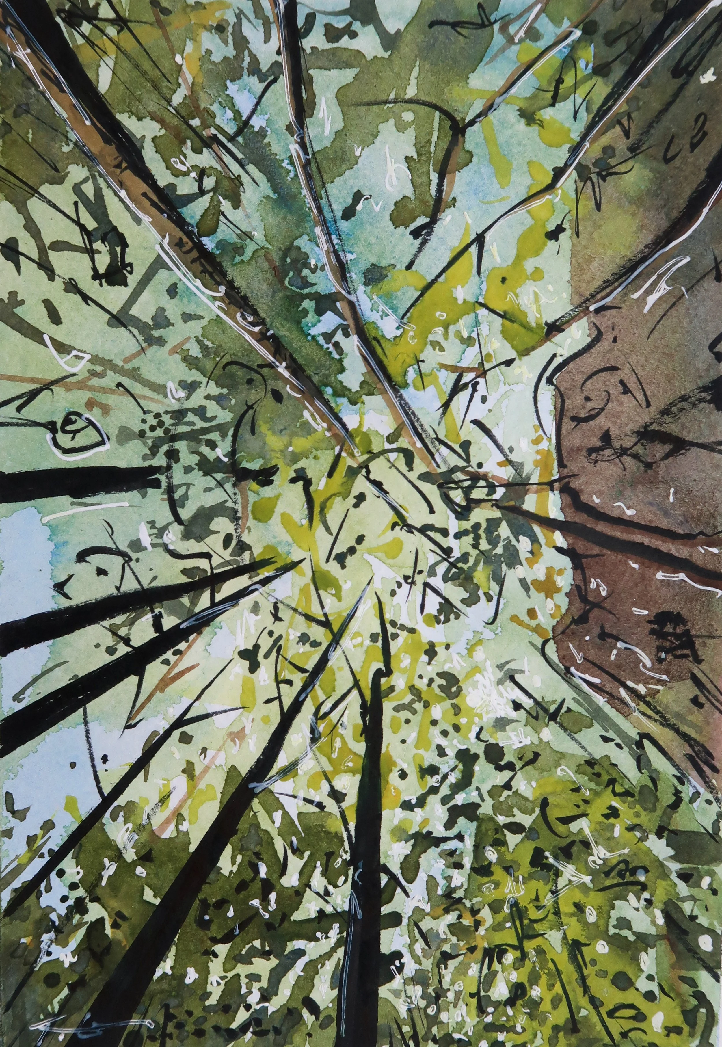 'Ogawayama Canopy'