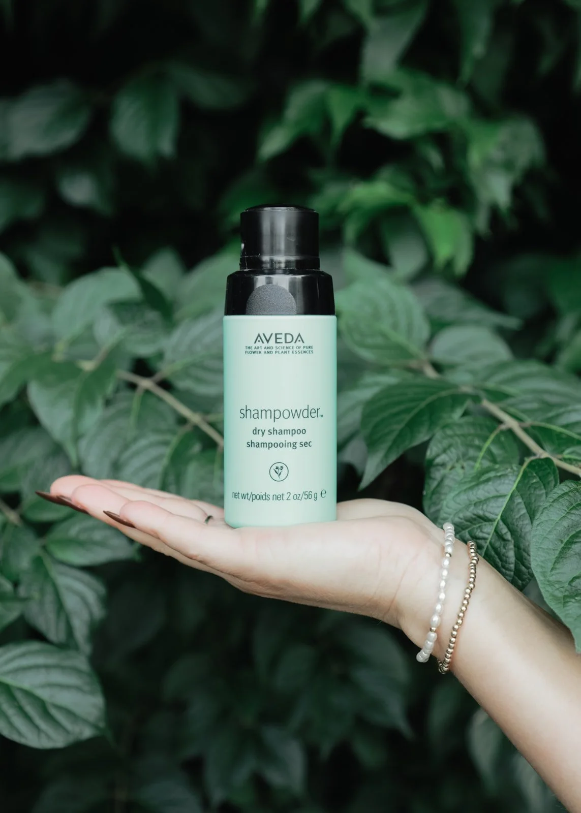 A hand holding a bottle of Aveda dry shampoo in front of green plants.
